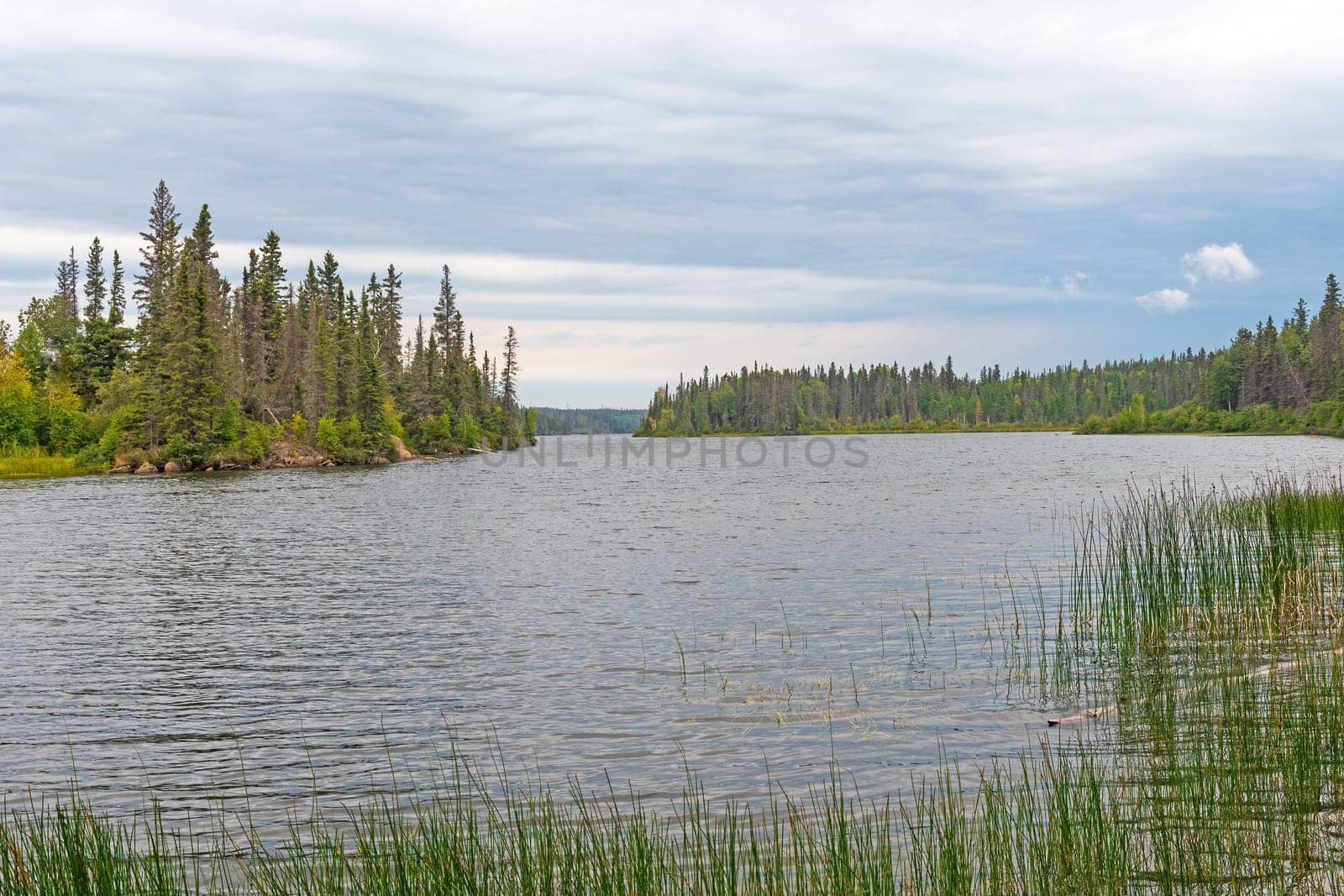 Quiet Lake on a Cloudy Day in the Far North on Whitefish Lake in Manitoba