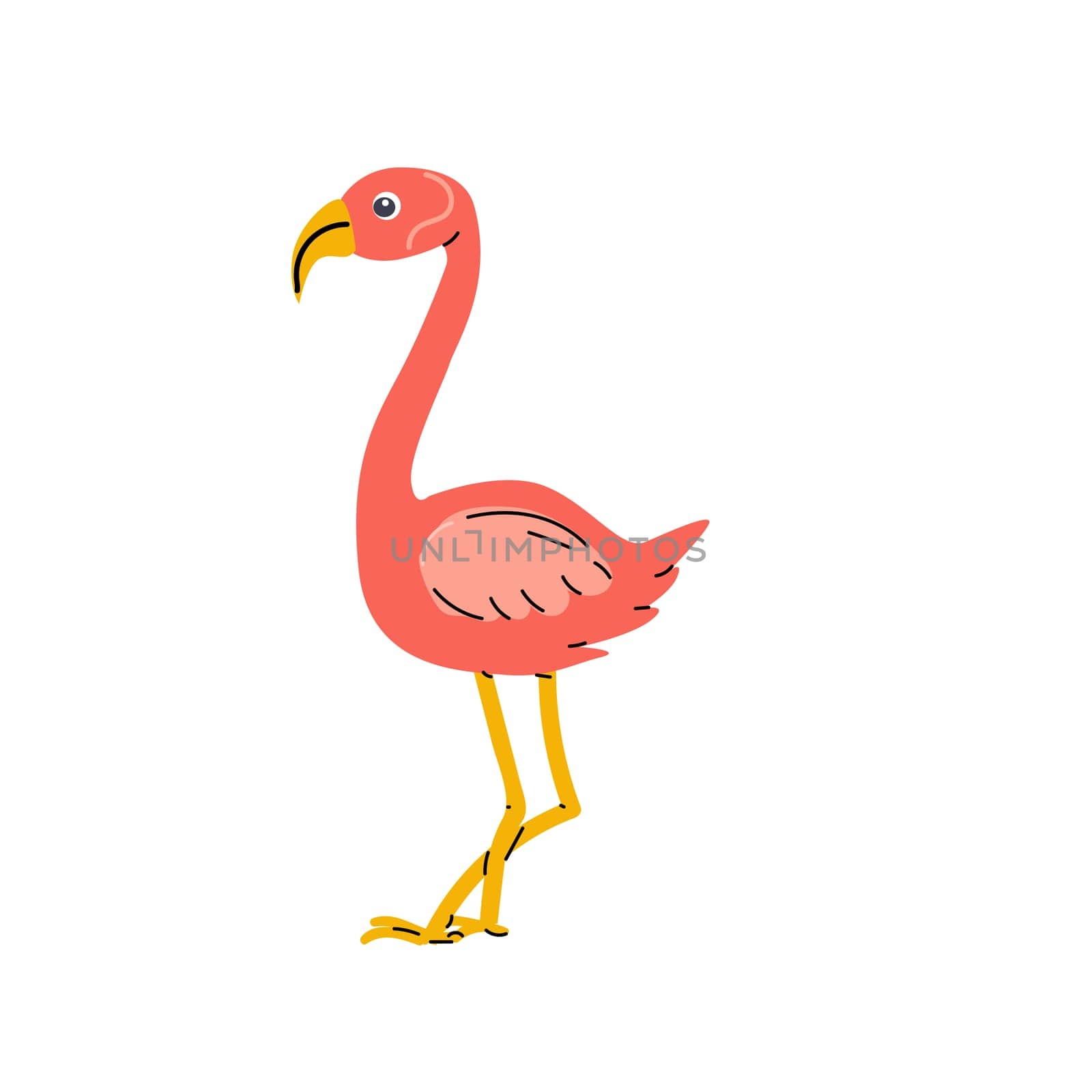 Cute bird summer exotic bird flamingo isolated. Vector illustration of beautiful animal - pink flamingo. Can used for cards, posters, stickers.