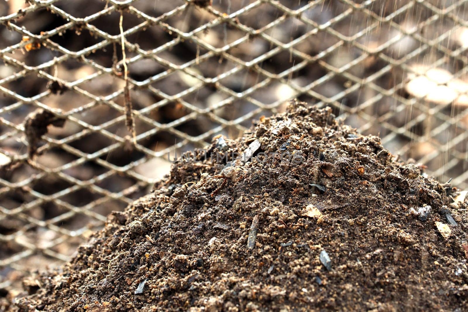 Compost sifted in spring as fertilizer in the garden.