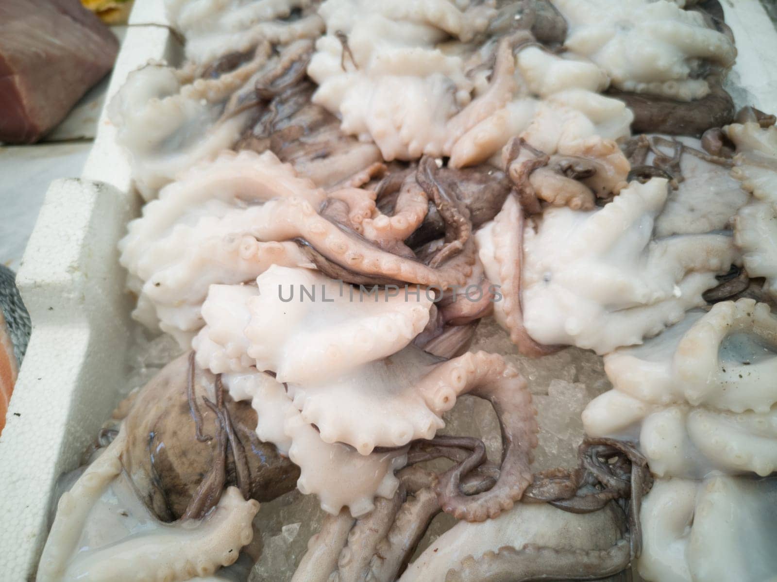 Cuttlefish in open seamarket, Napoli
