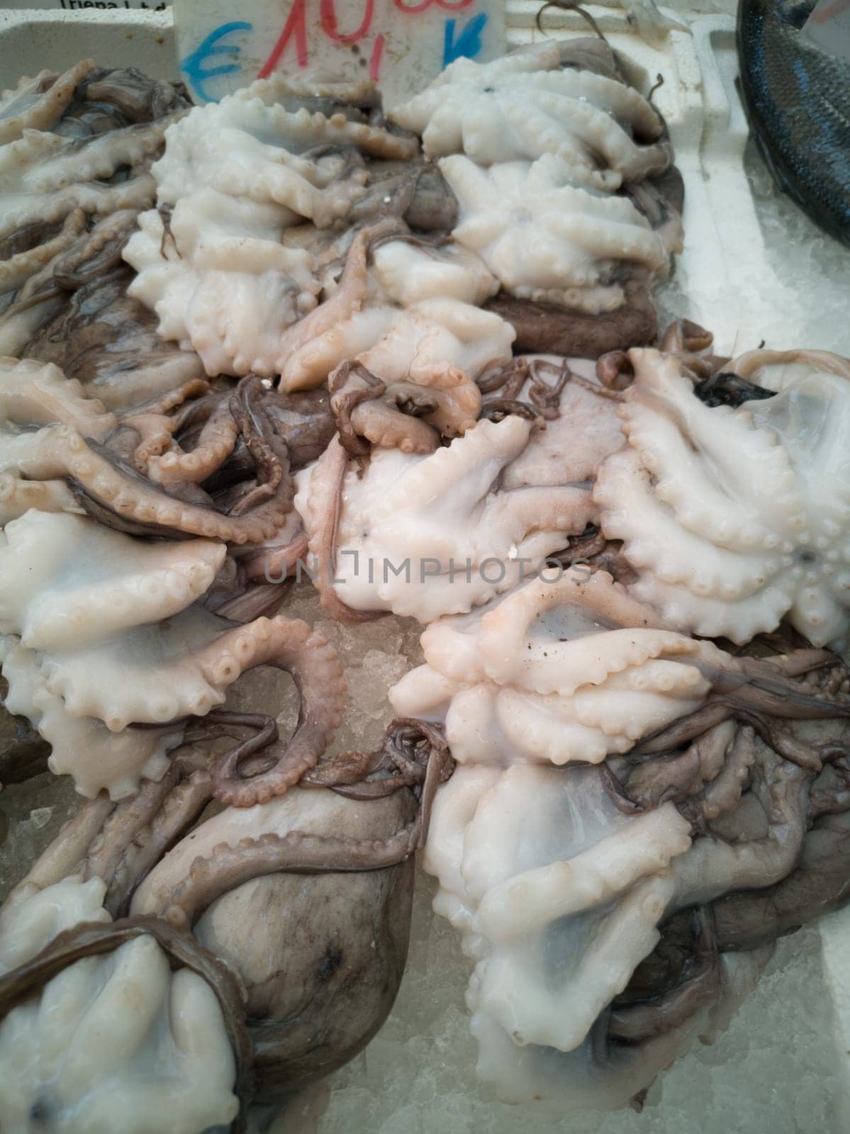 Cuttlefish in open seamarket, Napoli