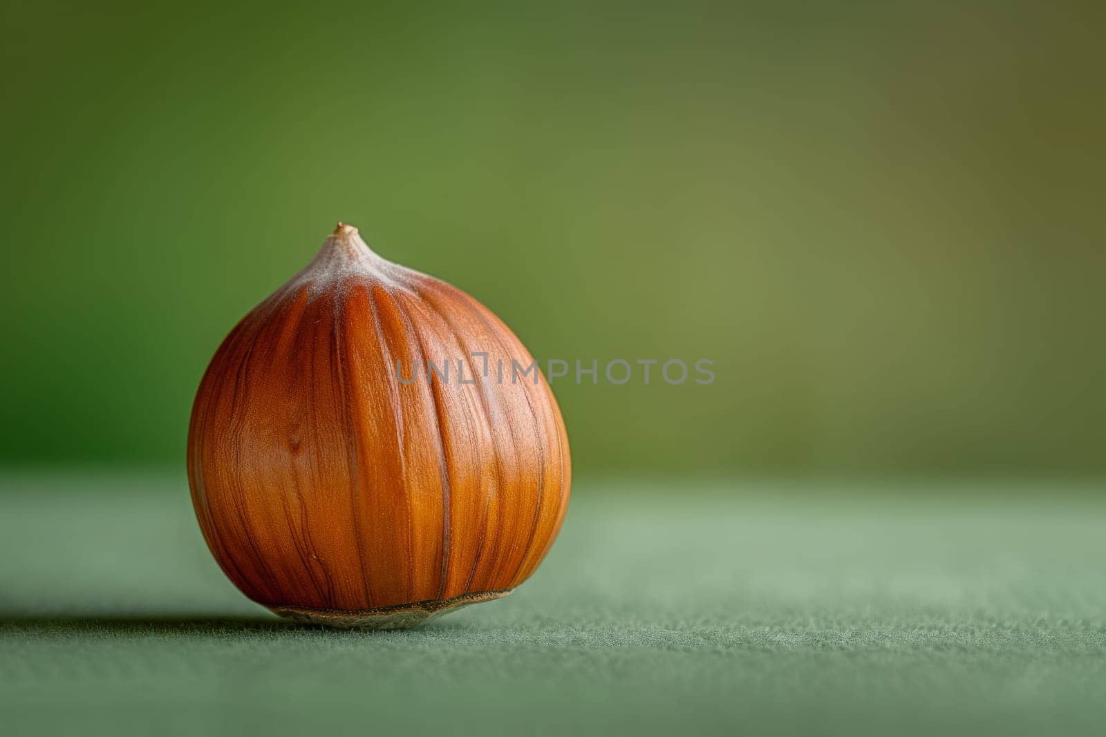 A single hazelnut stands out with its glossy brown shell against a soft green backdrop.