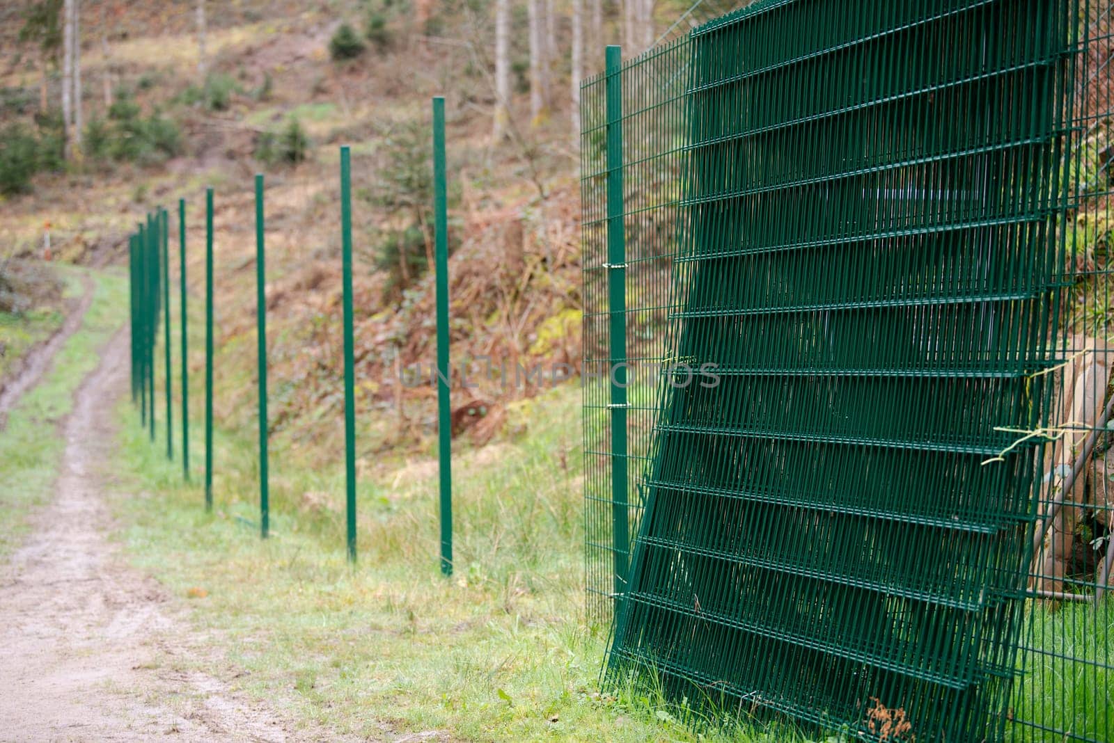 Chain link fence, metal wire, grid construction, building an enclosure for animals in the forest, protect wildlife and nature