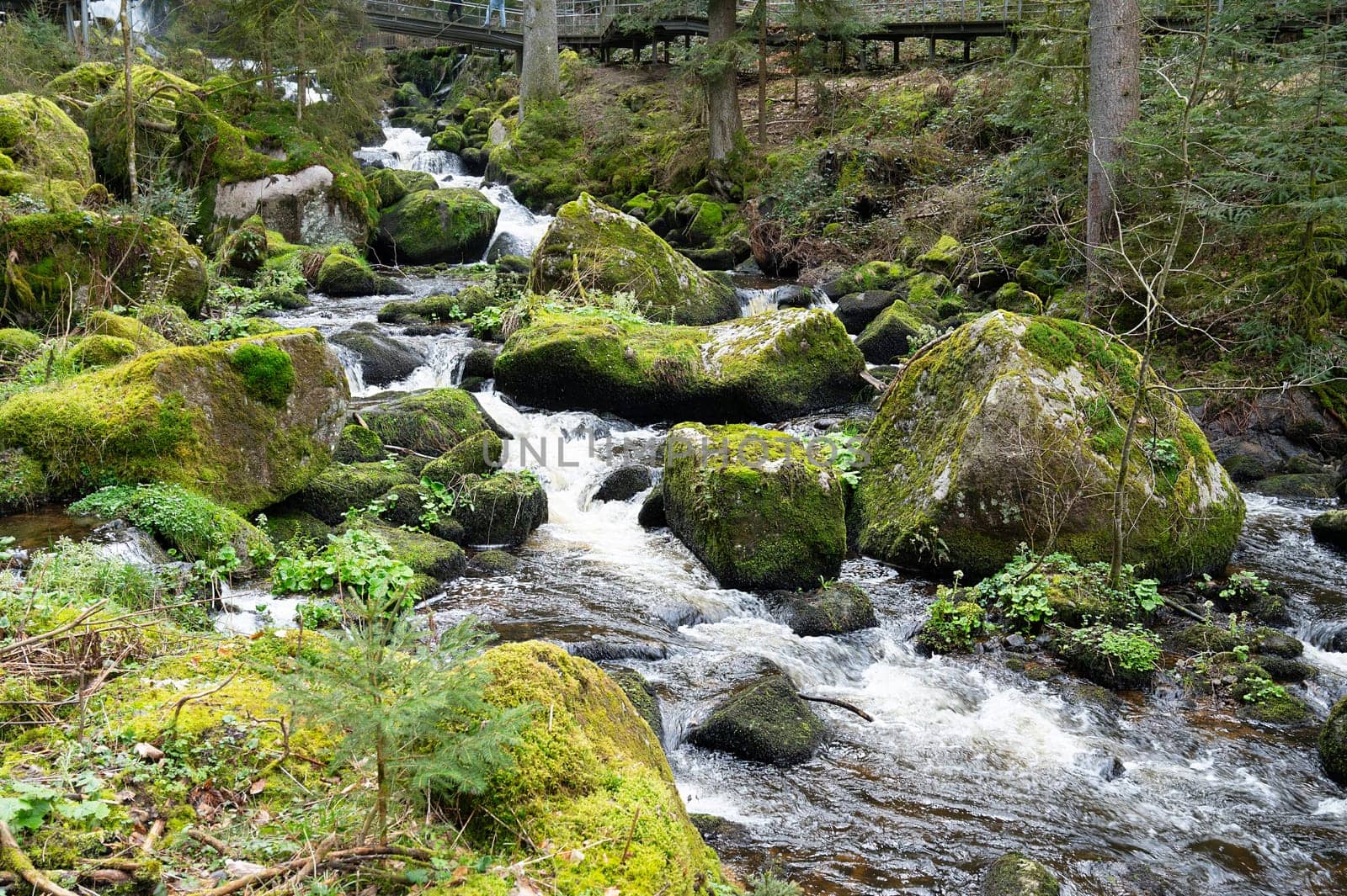Triberg waterfall in the Black Forest, highest fall in Germany, Gutach river plunges over seven major steps into the valley, wooden bridge