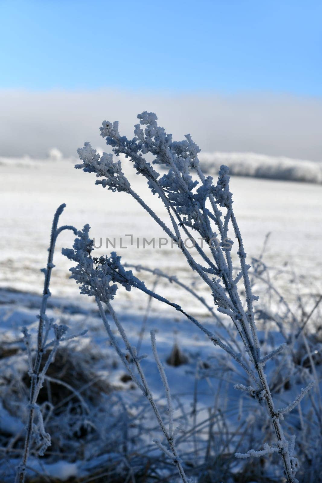 schöne Winterlandschaft bei frostigen Temperaturen in der Rhön