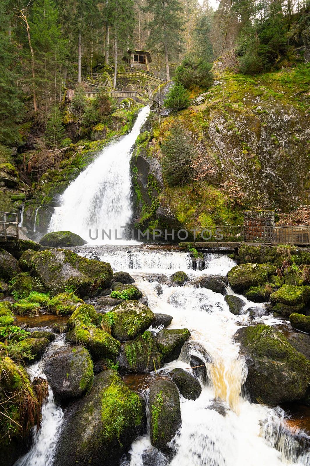 Triberg waterfall in the Black Forest, highest fall in Germany, Gutach river plunges over seven major steps into the valley, wooden bridge