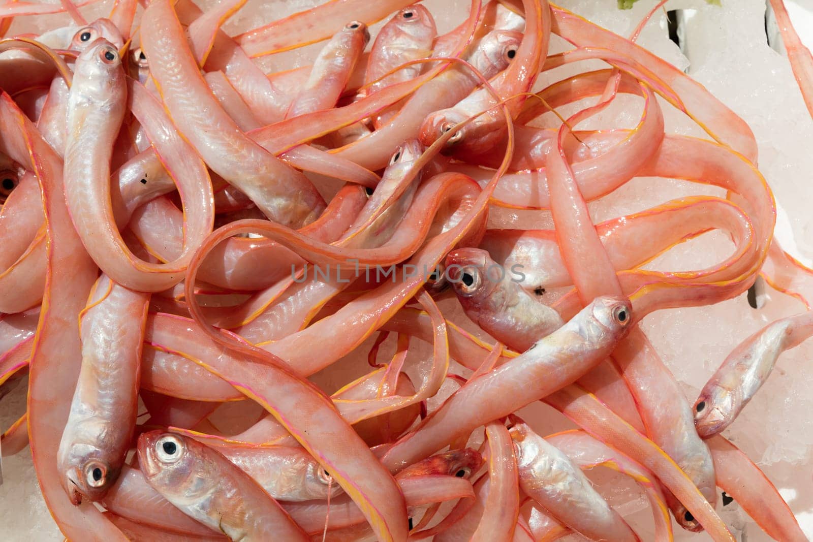 Cipolle (onions) mediterranean fish in open market in Naples