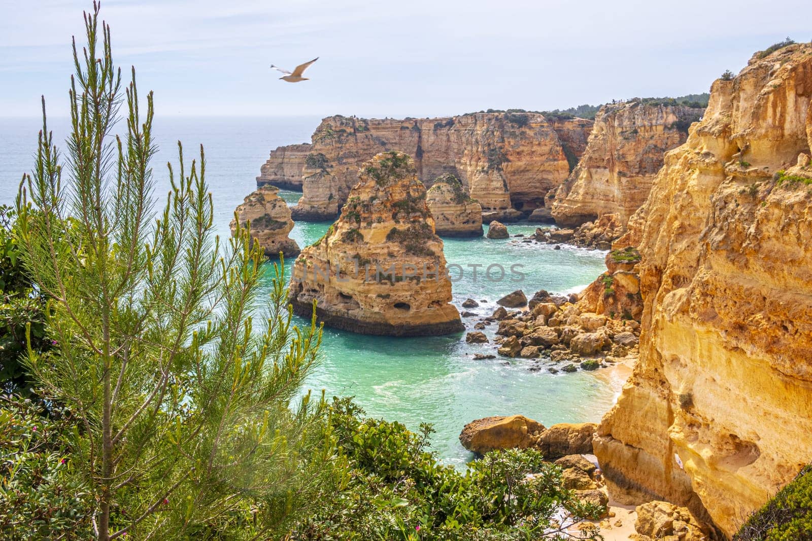 Cliffs and ocean, Praia da Marinha near Benagil, Algarve, Portugal