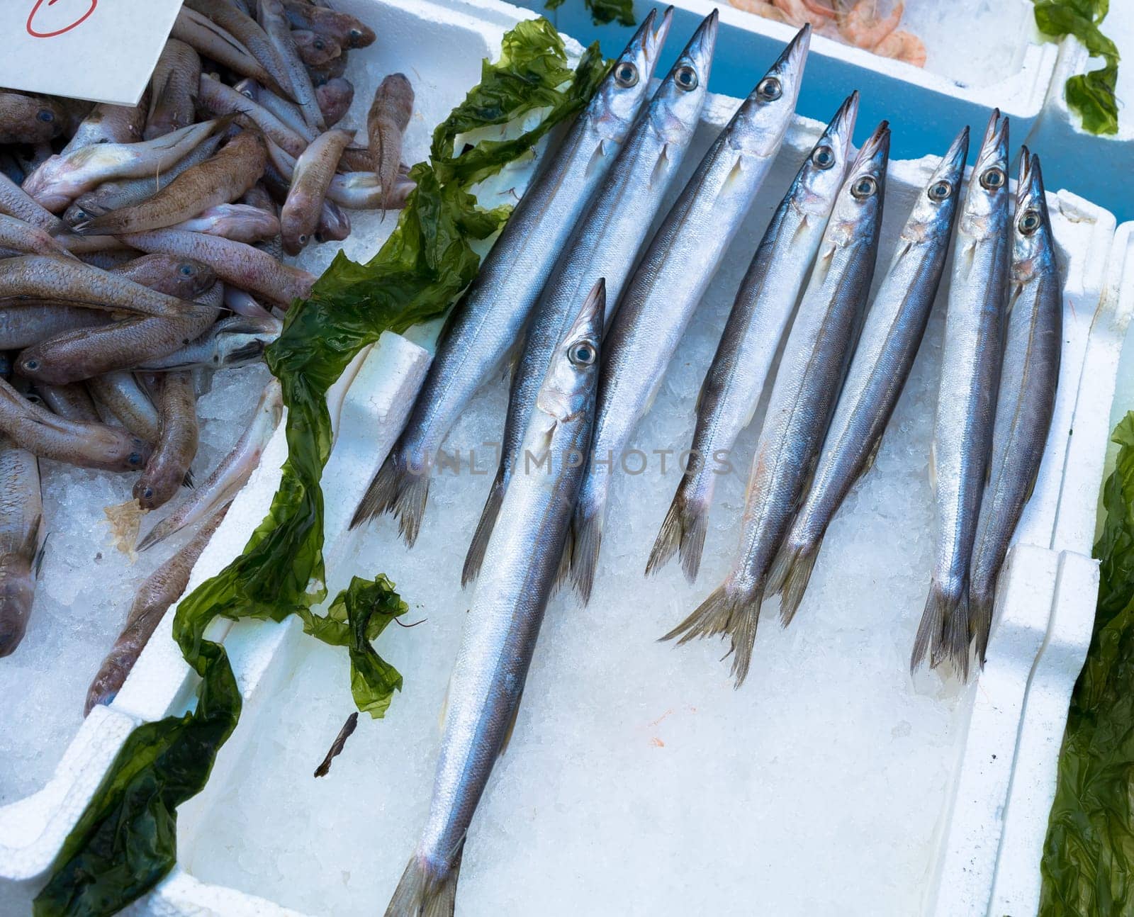 some fish at the  market. Napoli, Italy
