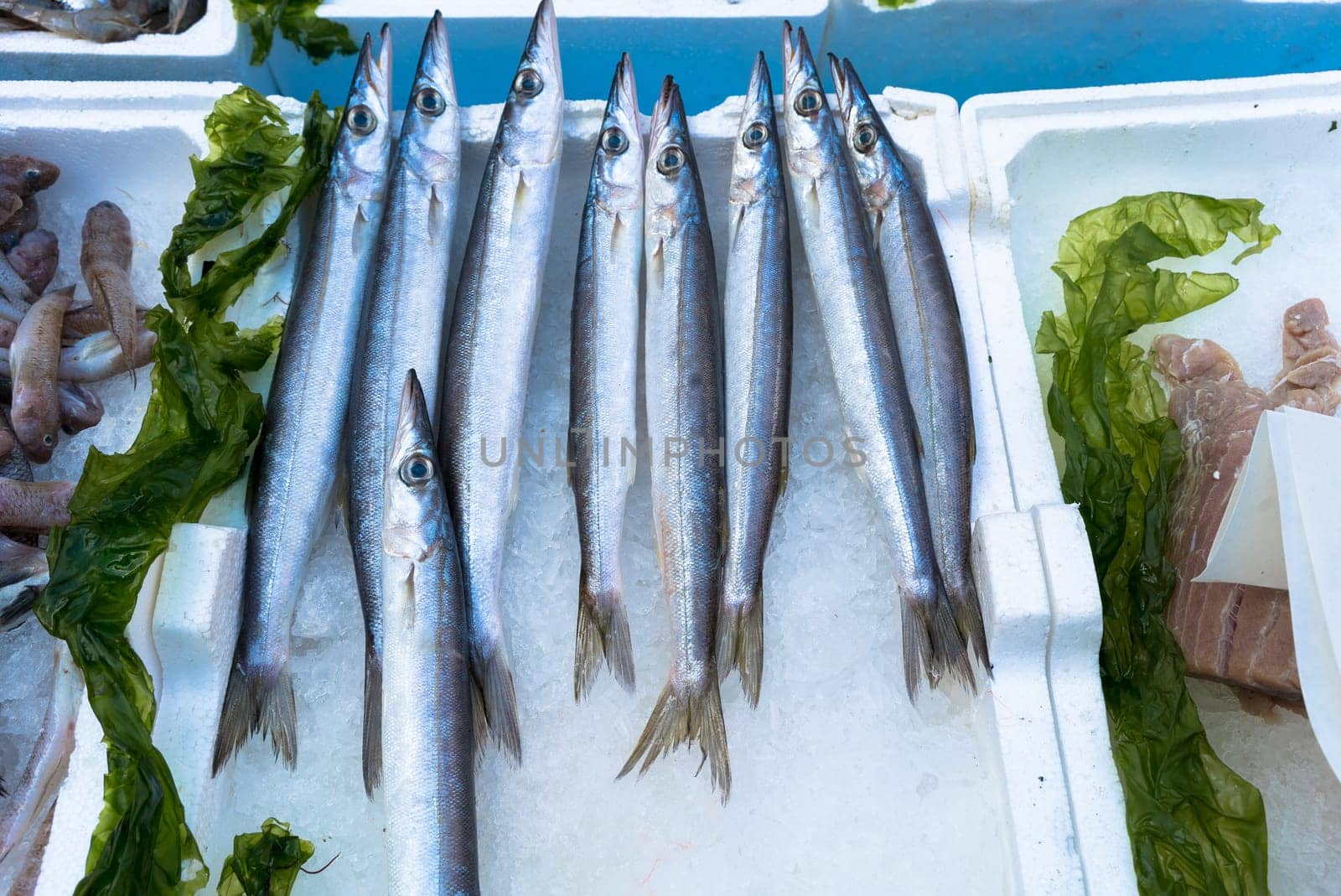 some fish at the  market. Napoli, Italy