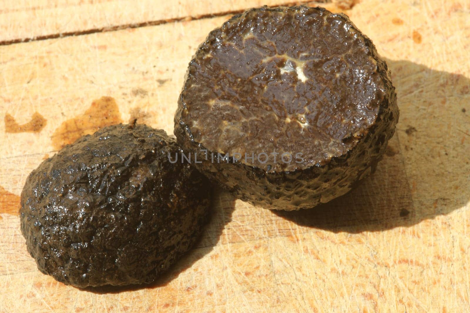 black truffle isolated on a wooden cutting board