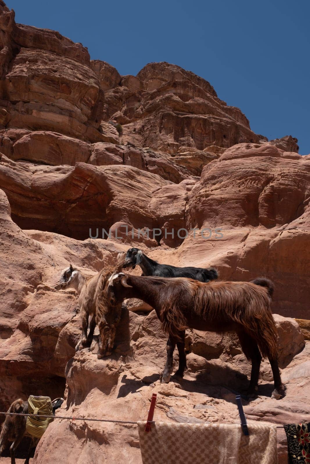 Ruins of Petra, World's UNESCO Heritage, Jordan