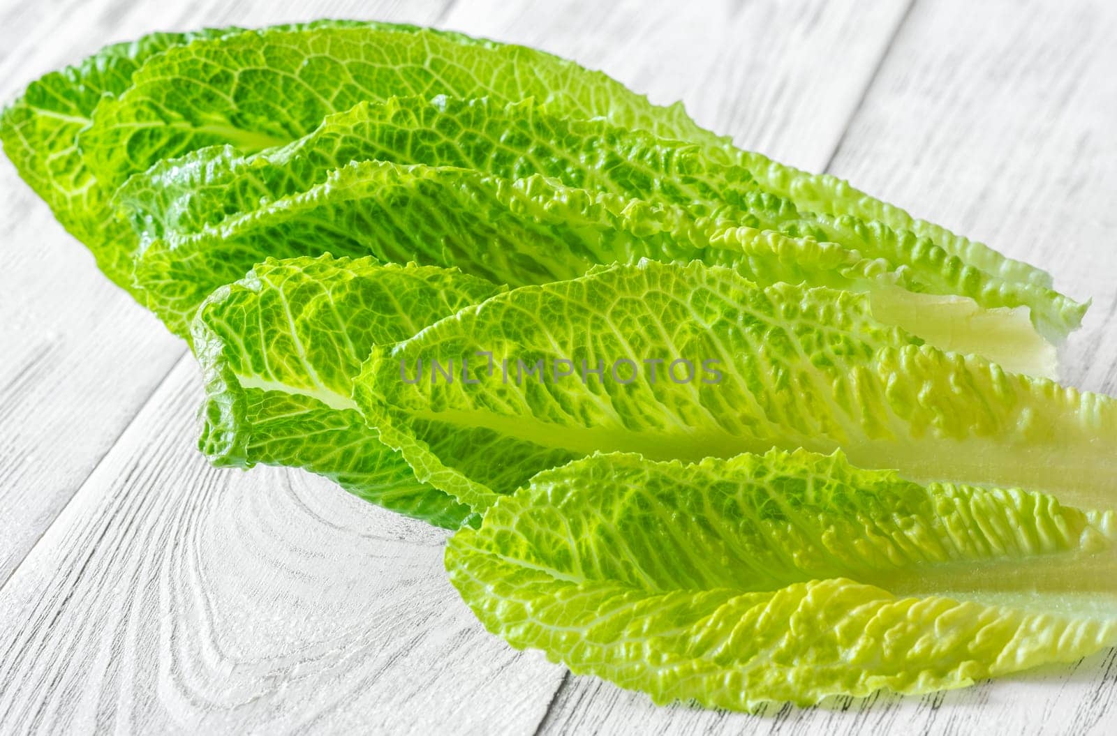 Fresh green romaine lettuce leaves close up