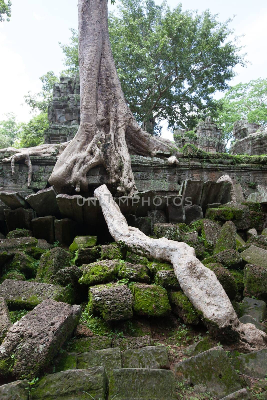 angkor thom, the best archeological site, Cambodia