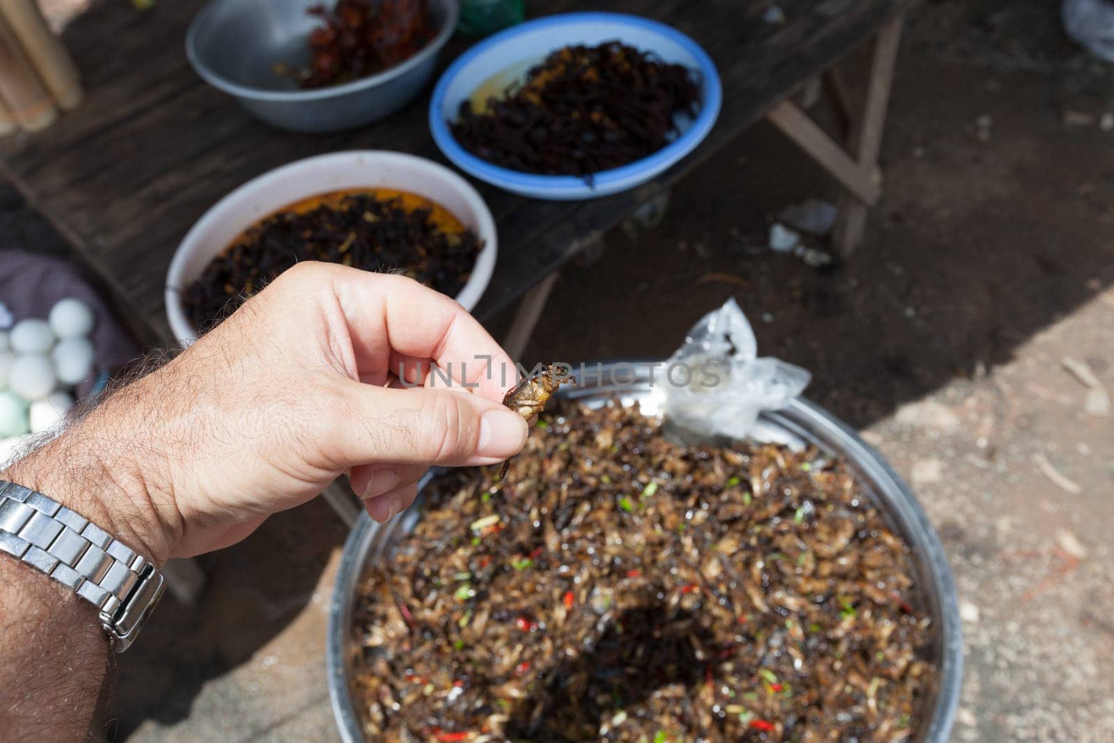Fried insects at Skun Market  in Cambodia