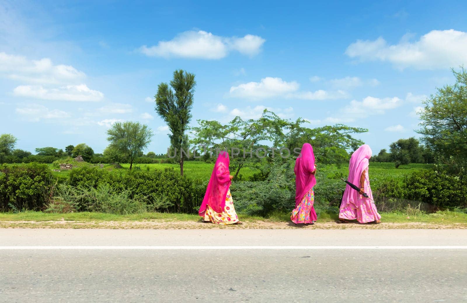 three women with traditional sari walking in rajasthan