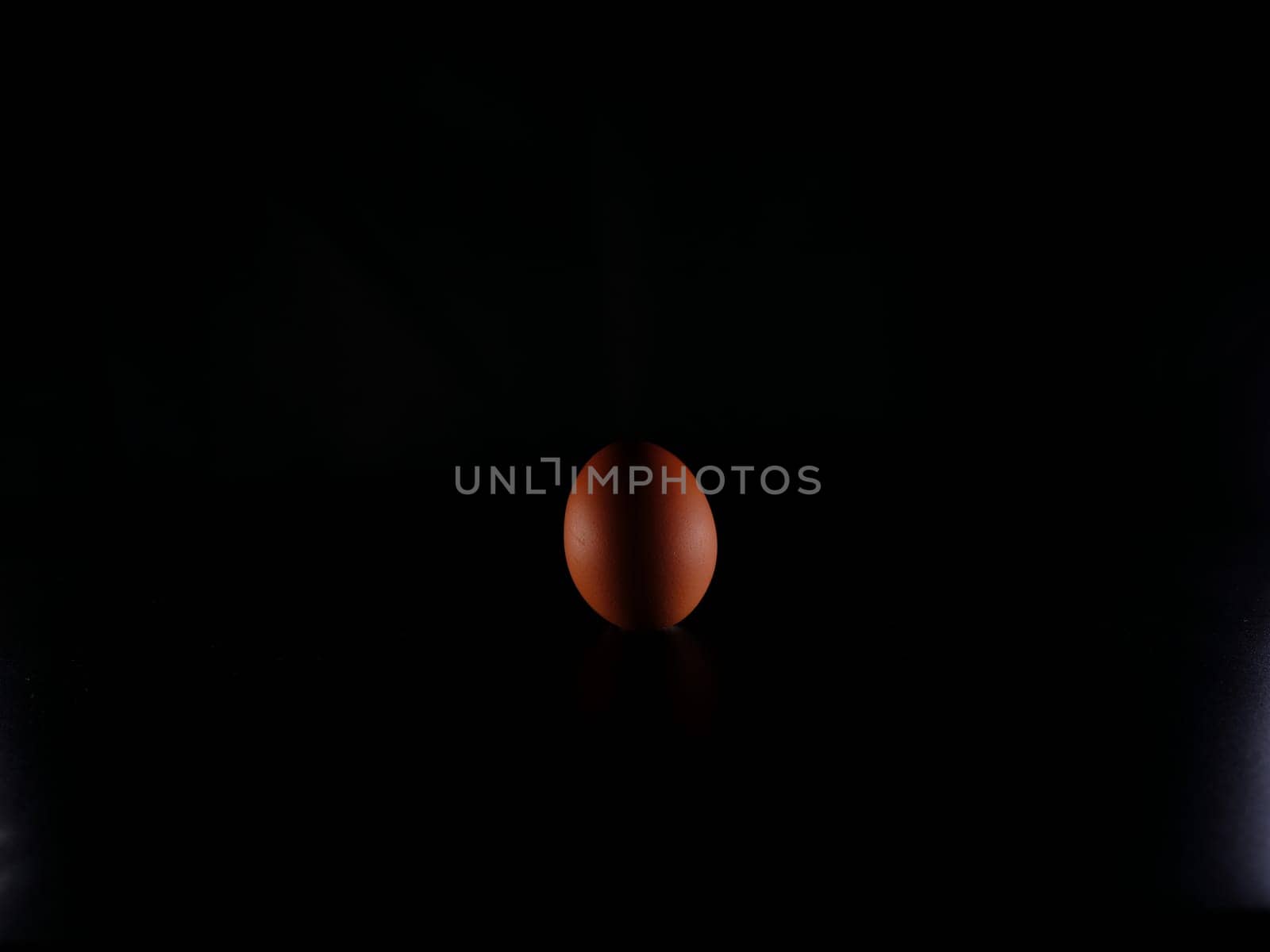 Egg on a black backround