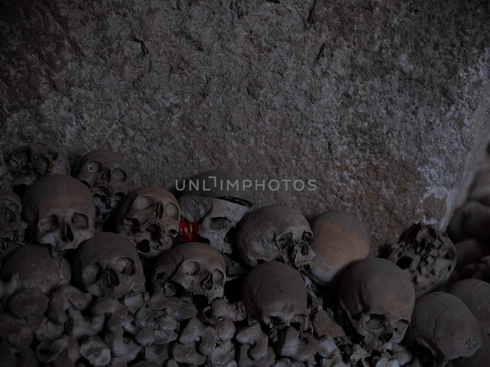 Skull and bones in ancient ossuary, Naples