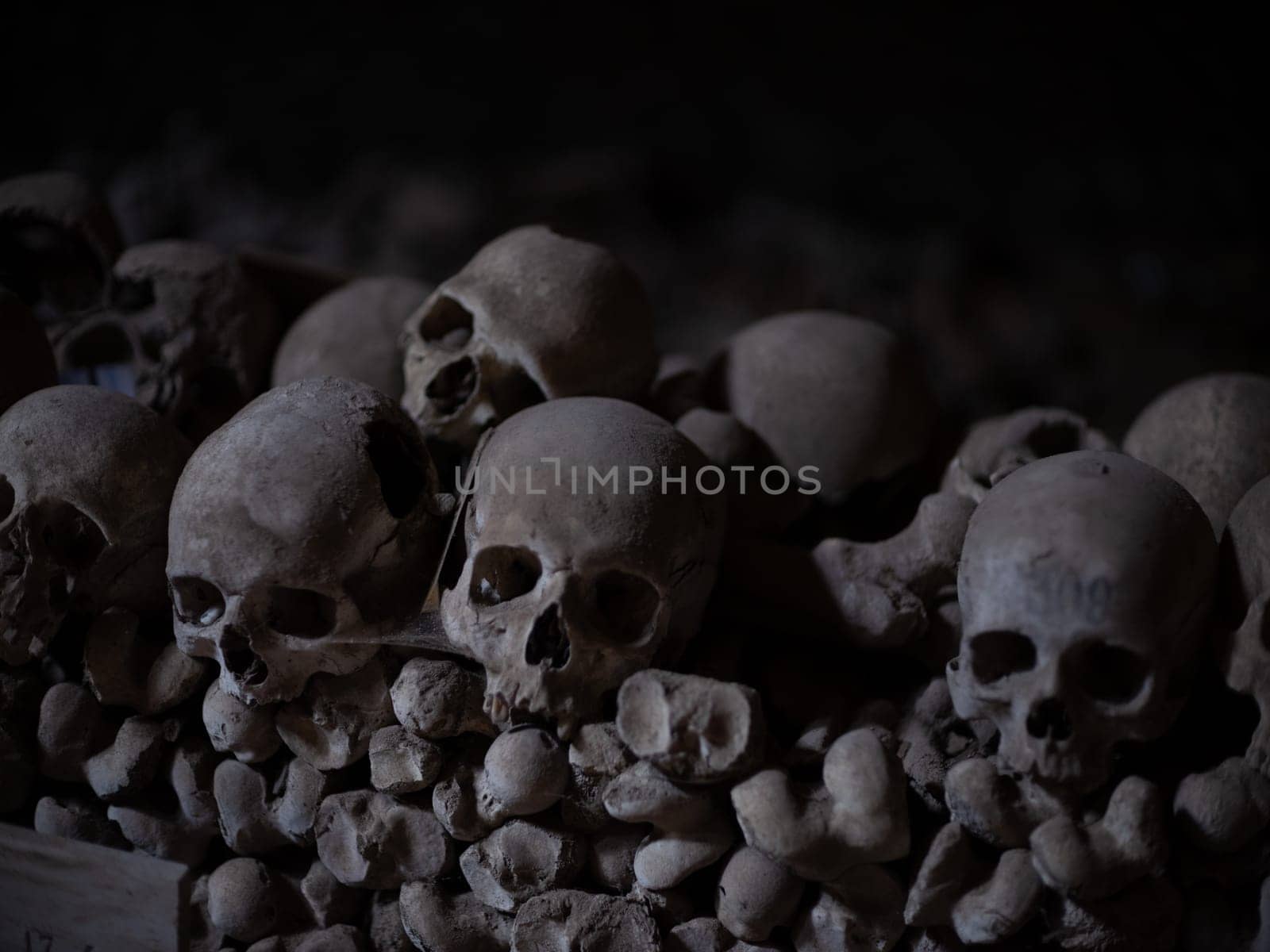 Skull and bones in ancient ossuary, Naples