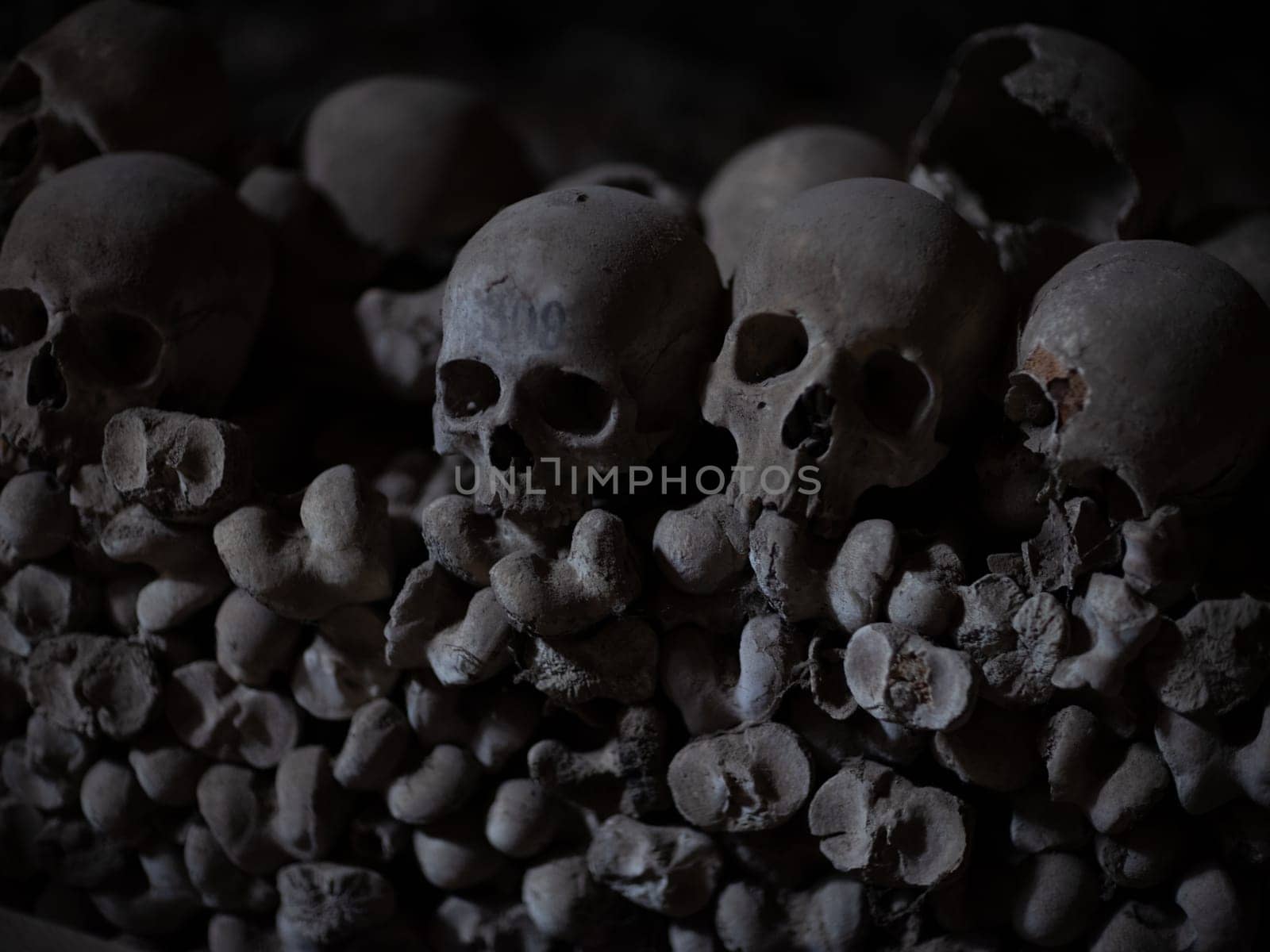 Skull and bones in ancient ossuary, Naples