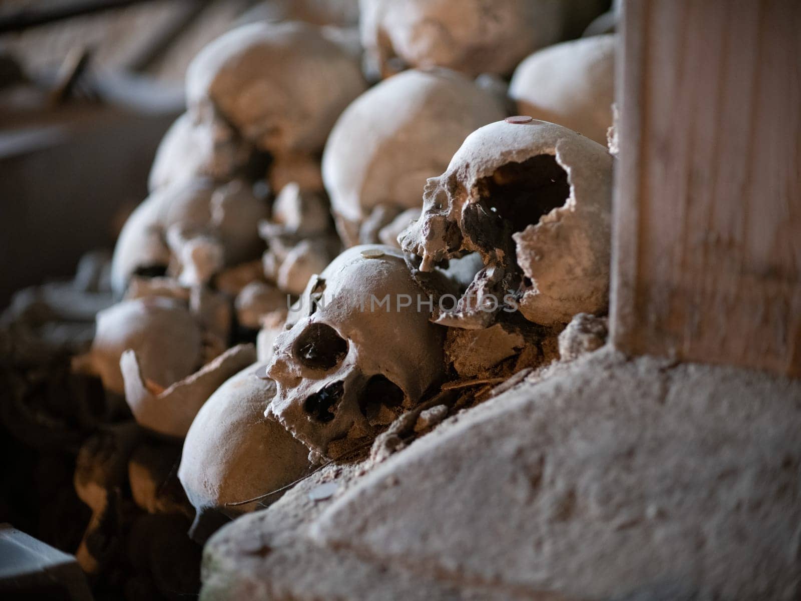 Skull and bones in ancient ossuary, Naples