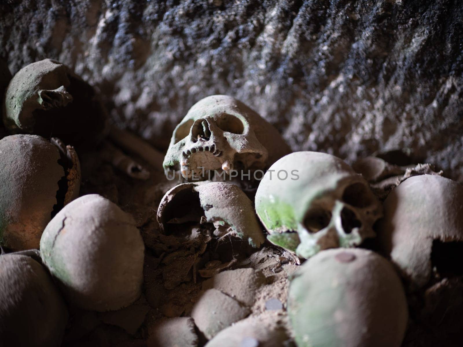 Skull and bones in ancient ossuary, Naples