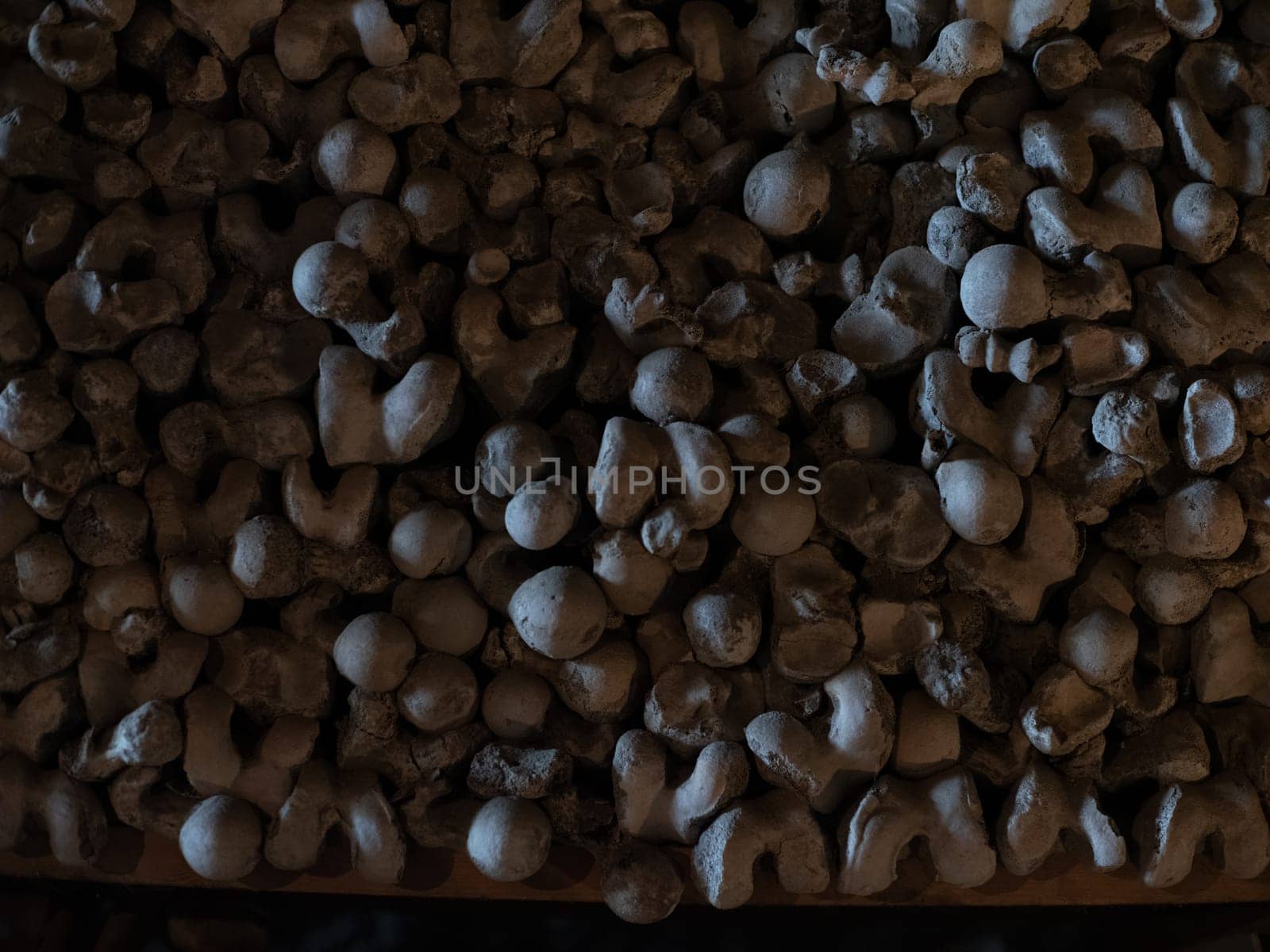 Skull and bones in ancient ossuary, Naples