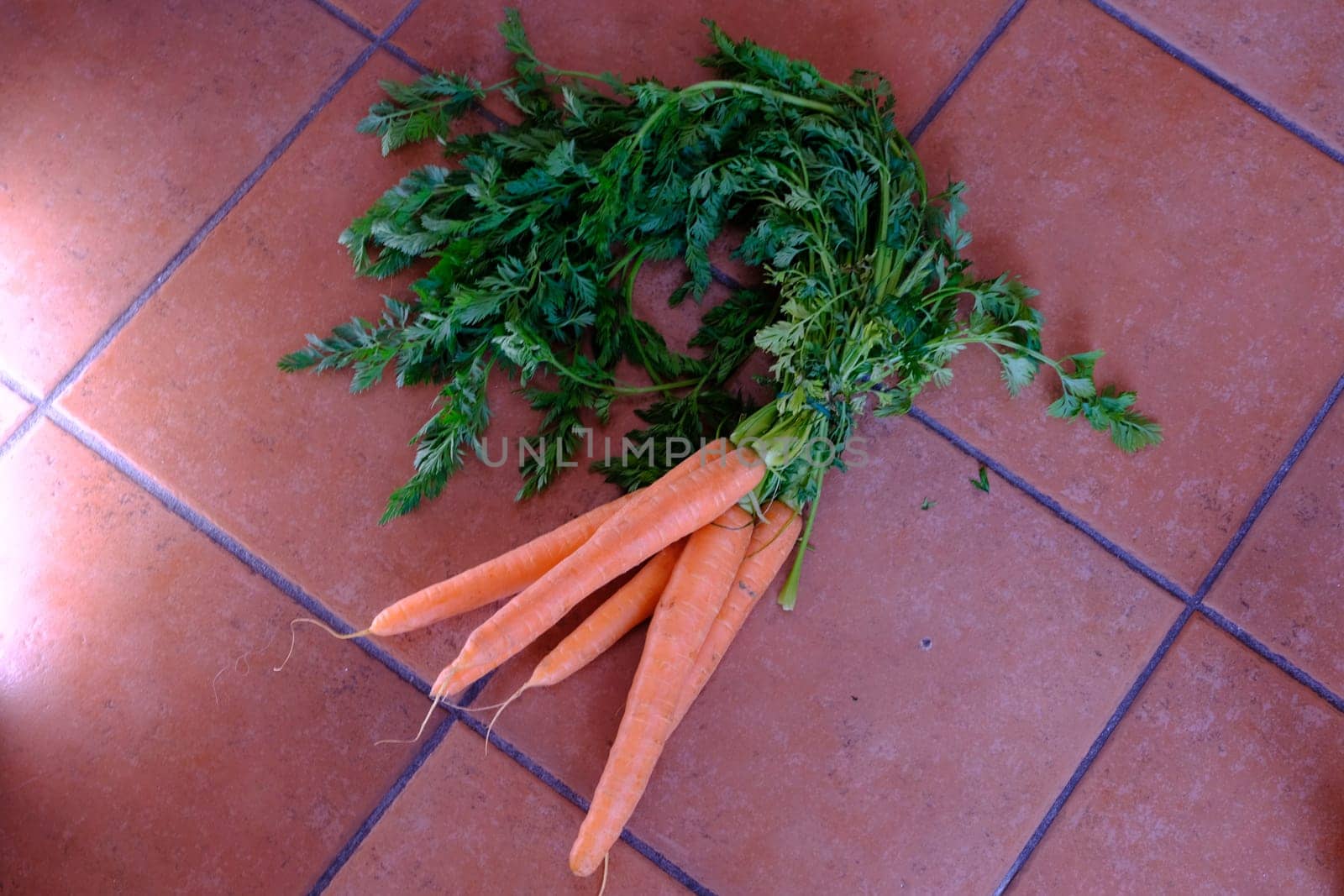 Various vegetables carrots exposed on ceramic floor backround