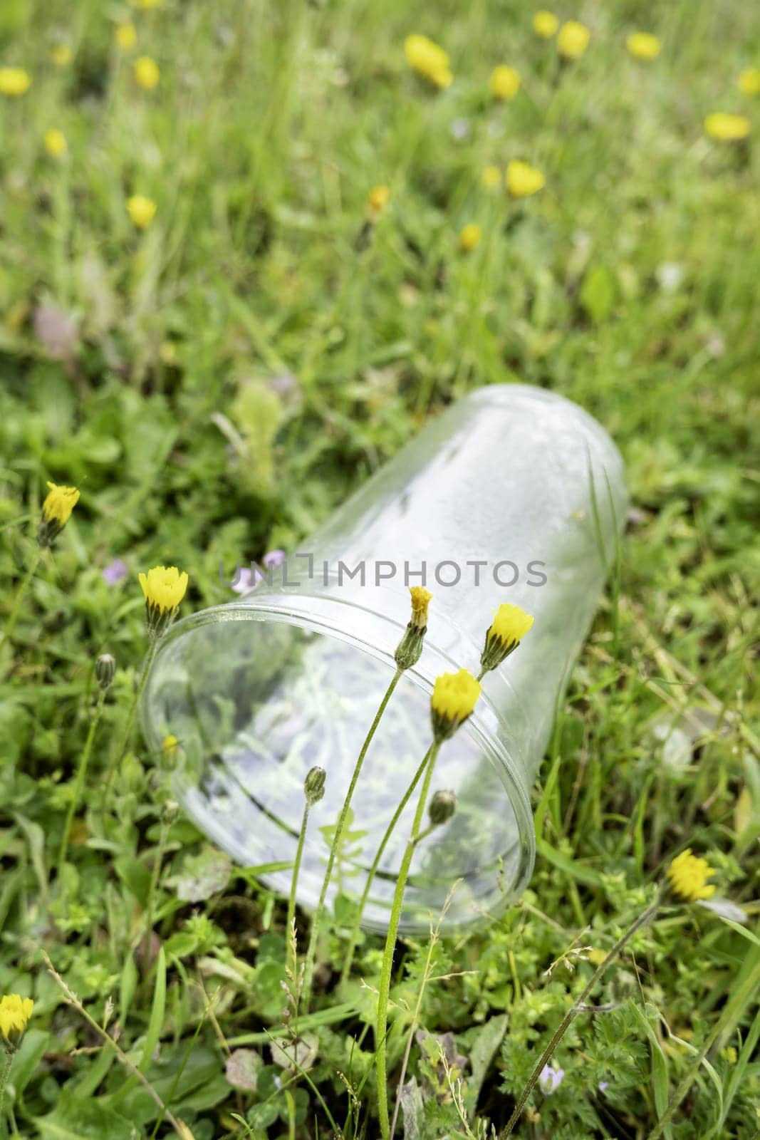 Detail of garbage and pollution in nature
