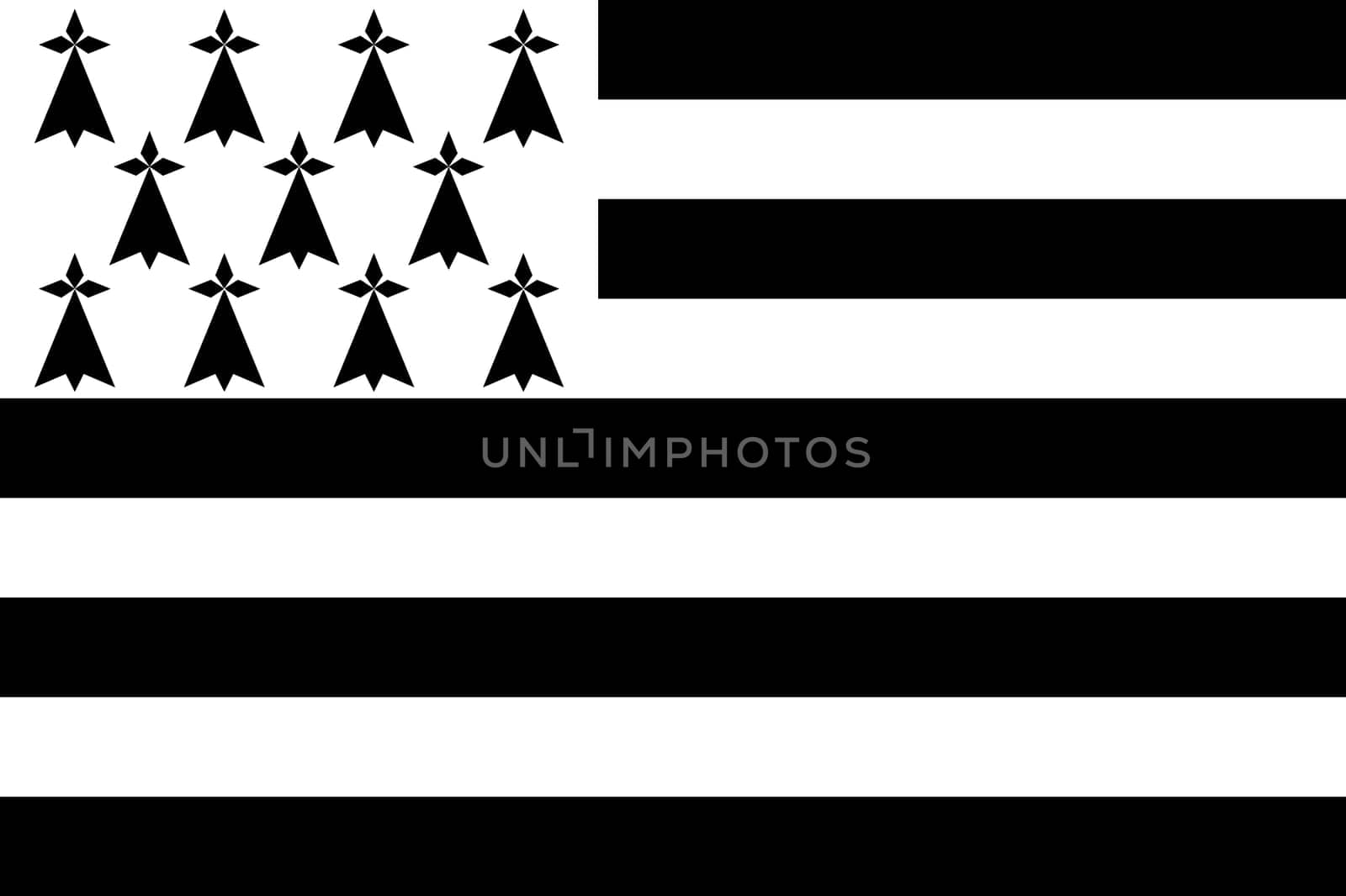 Top view of flag Brittany, Gwenn ha du, France. French patriot and travel concept. no flagpole. Plane design, layout. Flag background