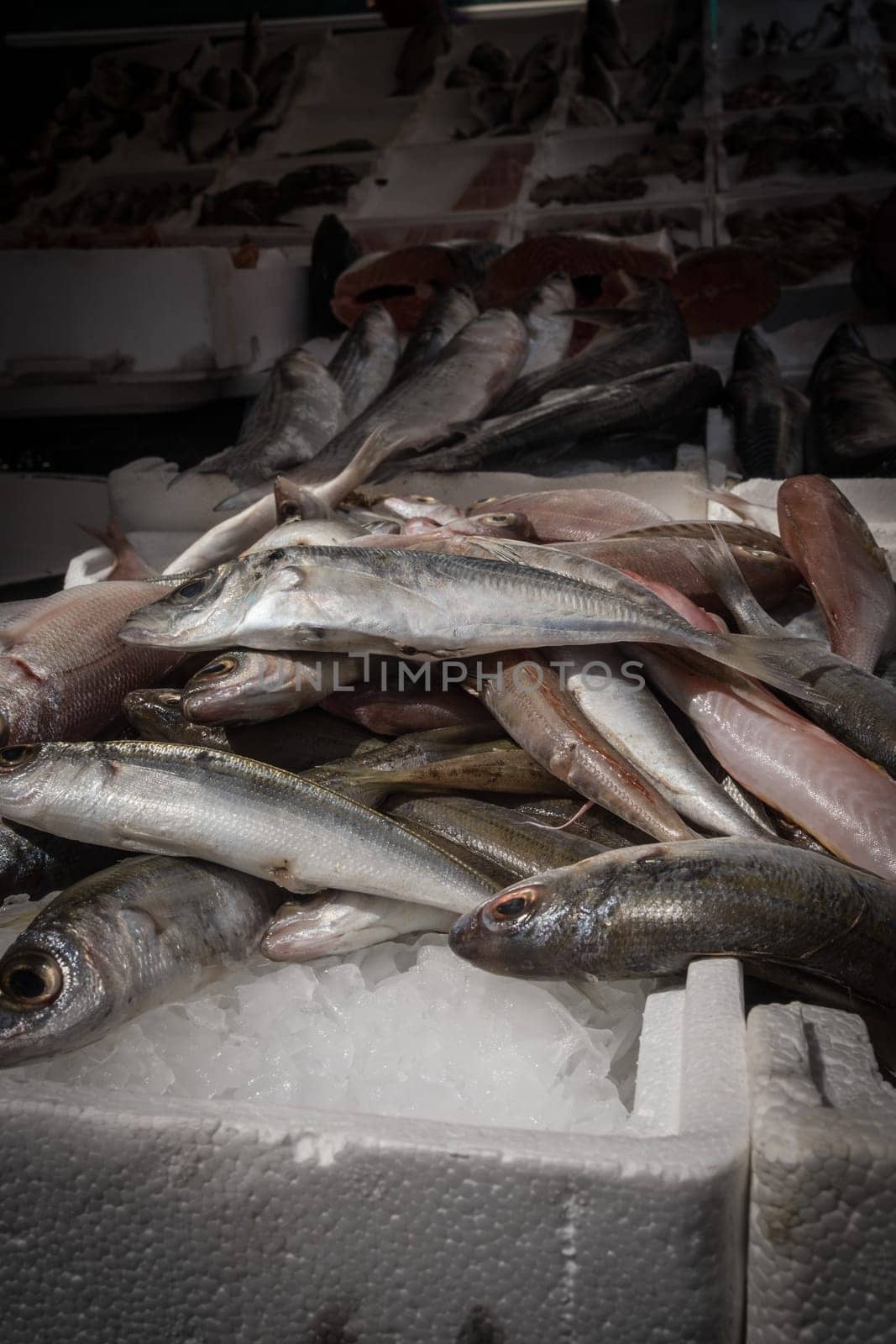 Mediterranean fish exposed in open market in Napoli