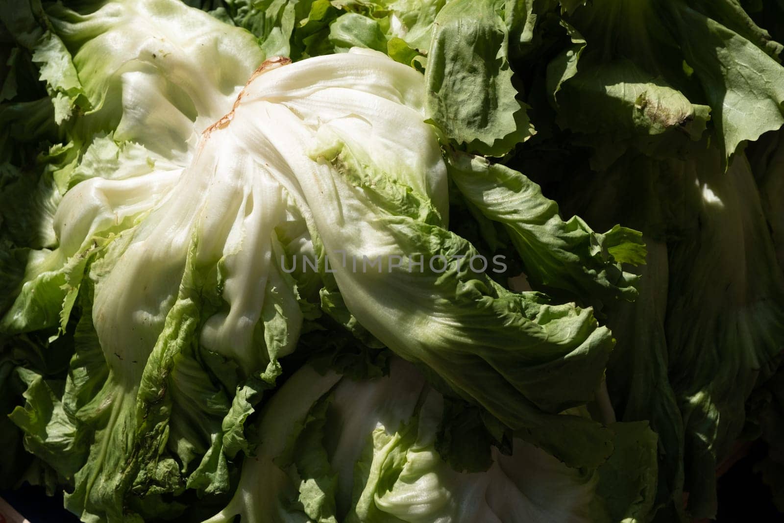 Various vegetables exposed in open market