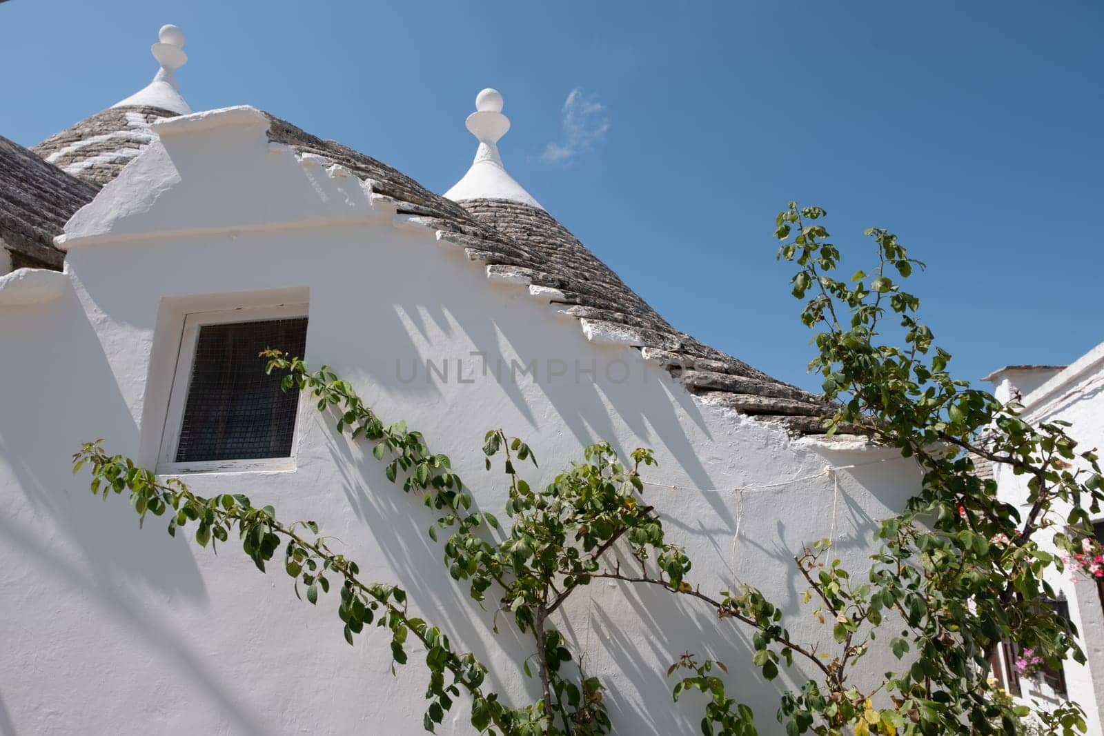 View of Trulli houses in Alberobello, Italy