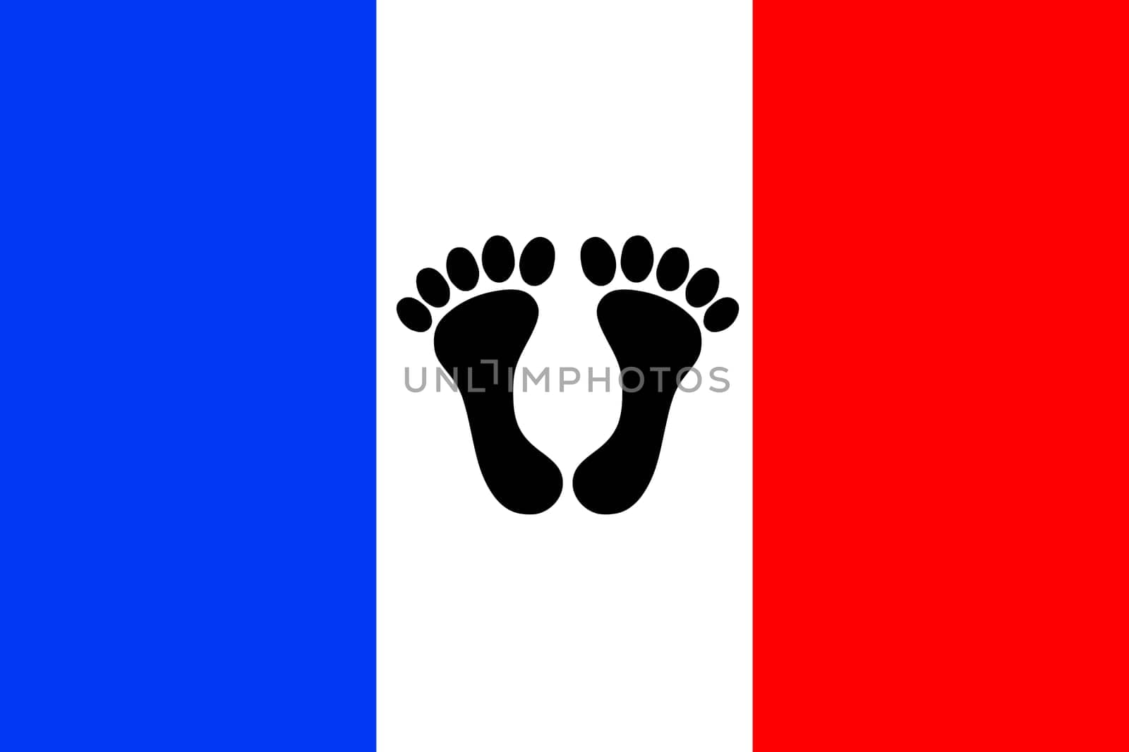 Fabric texture of the flag of France