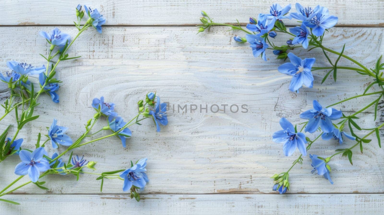 A cluster of vibrant blue flowers arranged neatly on a clean white wooden surface. The delicate petals and green stems contrast beautifully against the bright background.