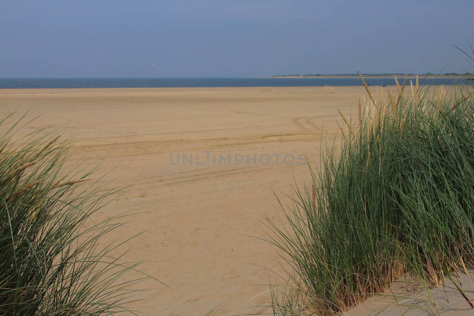 A dune landscape on the North Sea coast in the Netherlands