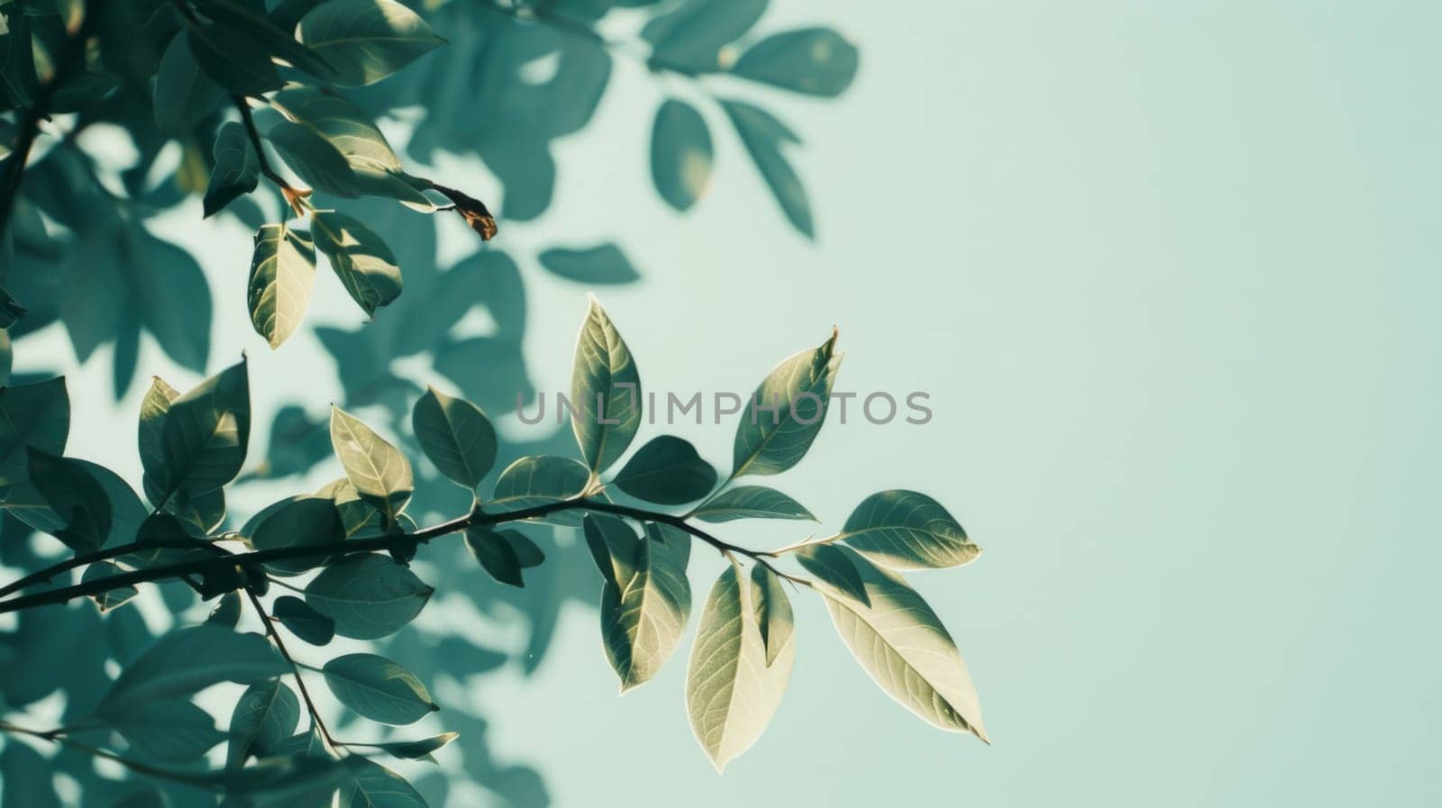 A tree branch filled with green leaves extends towards a clear blue sky, showcasing natures beauty and resilience in the face of the skys vastness.