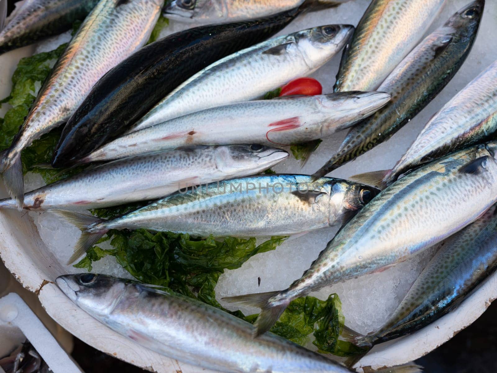Mediterranean Fish in open seamarket, Napoli