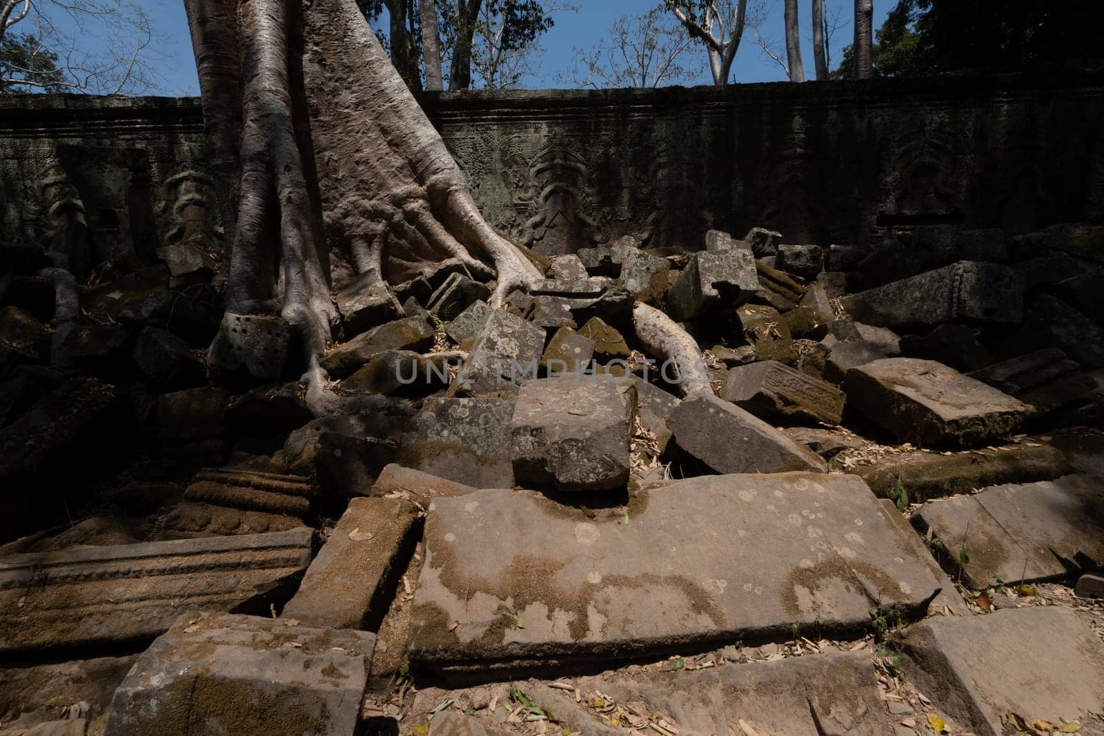 angkor thom, the best archeological site, Cambodia