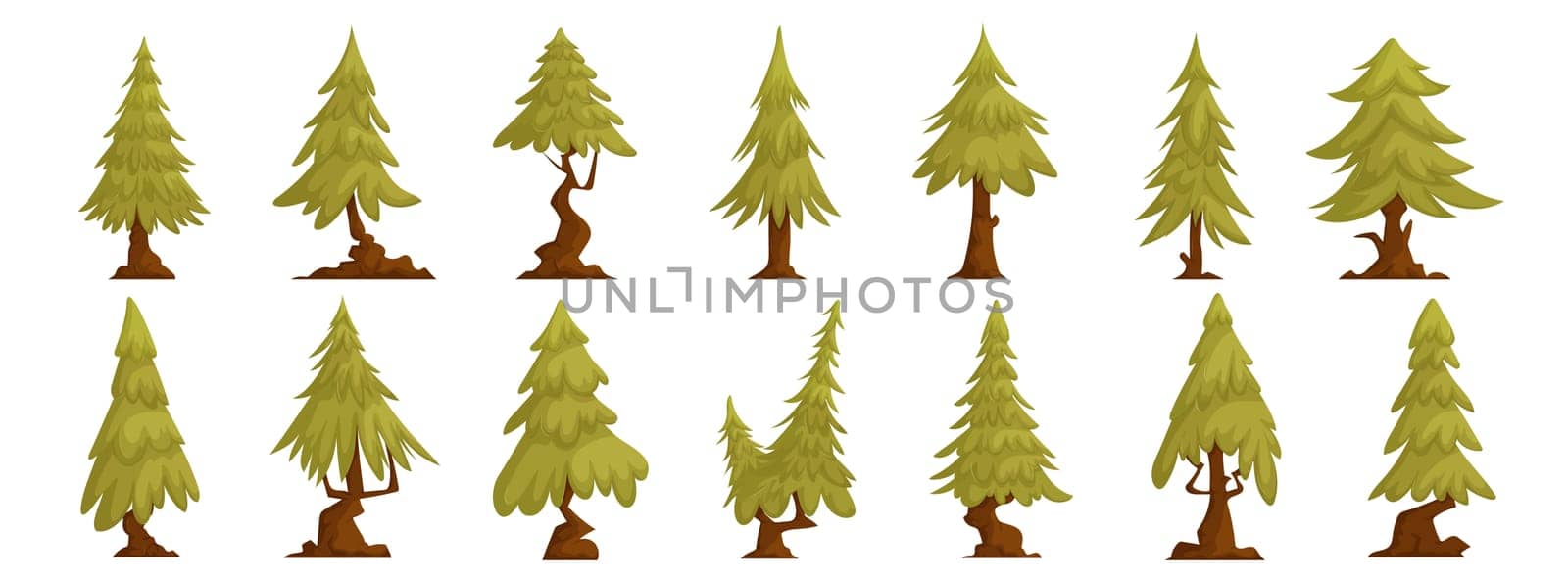 Set of forest trees pine, green tall spruce, European spruce, evergreen conifer. Interesting shaped pine tree