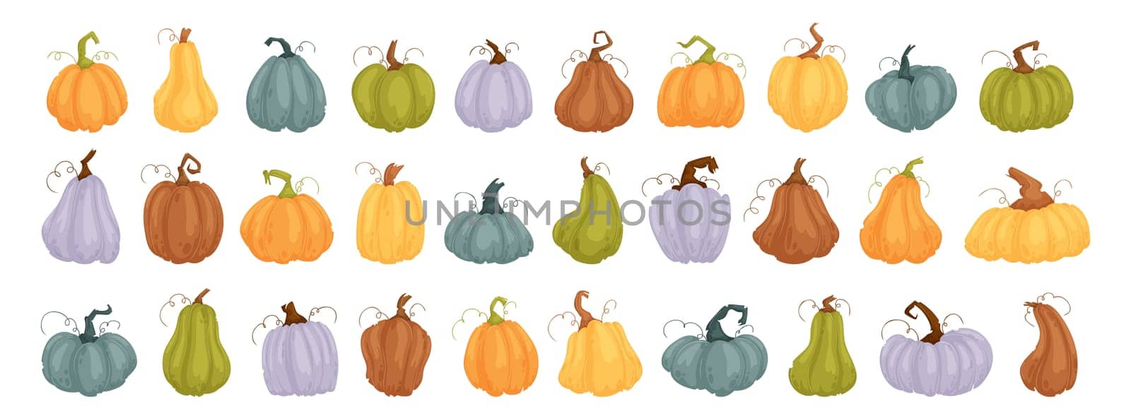 Set 30 pcs pumpkins, squash vector symbols illustrations. Cartoon pumpkins, halloween squash, fall harvest gourds. Autumn thanksgiving and halloween pumpkins collection.