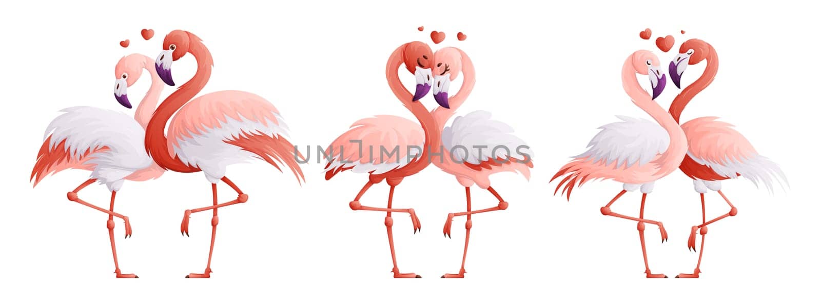 Set of pink flamingo lovers. A couple of the flamingo family, a symbol of love and devotion to each other. Cartoon style