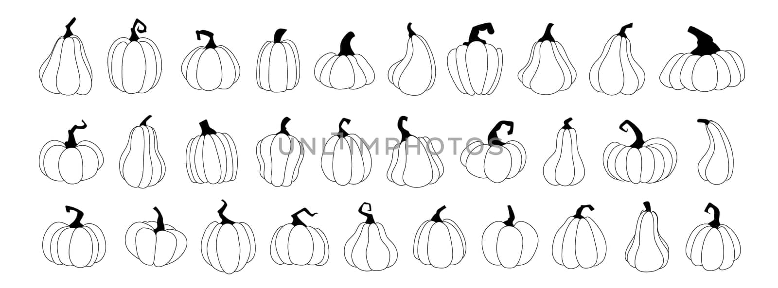 Set pumpkins, squash vector symbols illustrations. Black linear style pumpkins, halloween squash, fall harvest gourds. Autumn thanksgiving and halloween pumpkins collection.