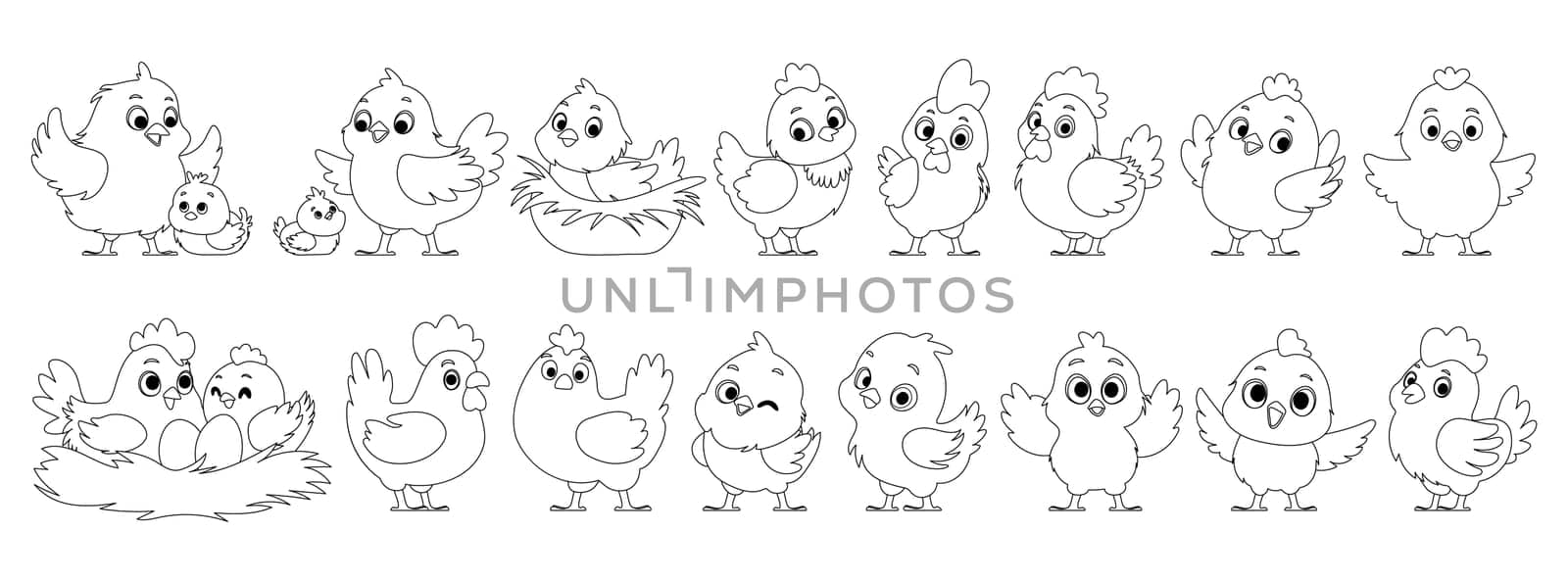 Large set of chicken family in lineart. Chickens, Hen hatches eggs. Mother hen and chicks. Big and small roosters. Chicken and rooster in the nest. Black lines style.