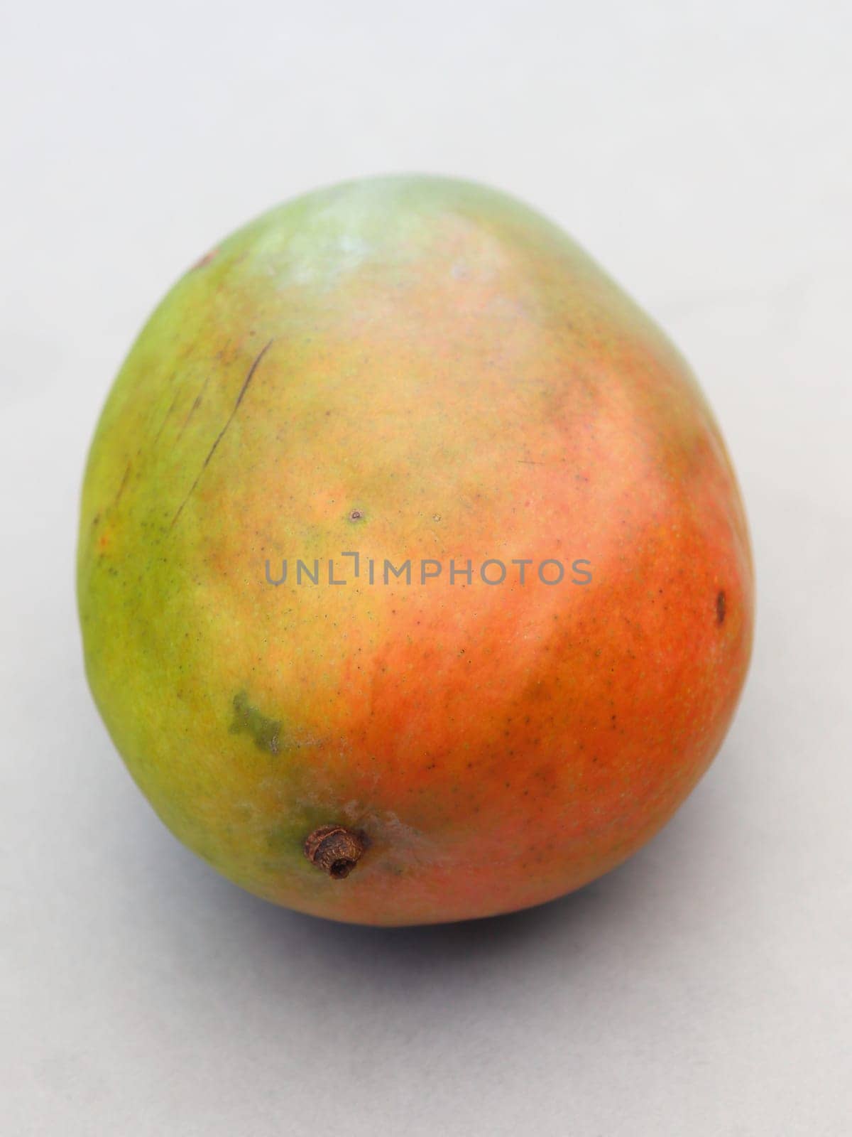 Mango fruits are counted as fruit. There are now over 1000 types of mango that differ in shape, size and taste.