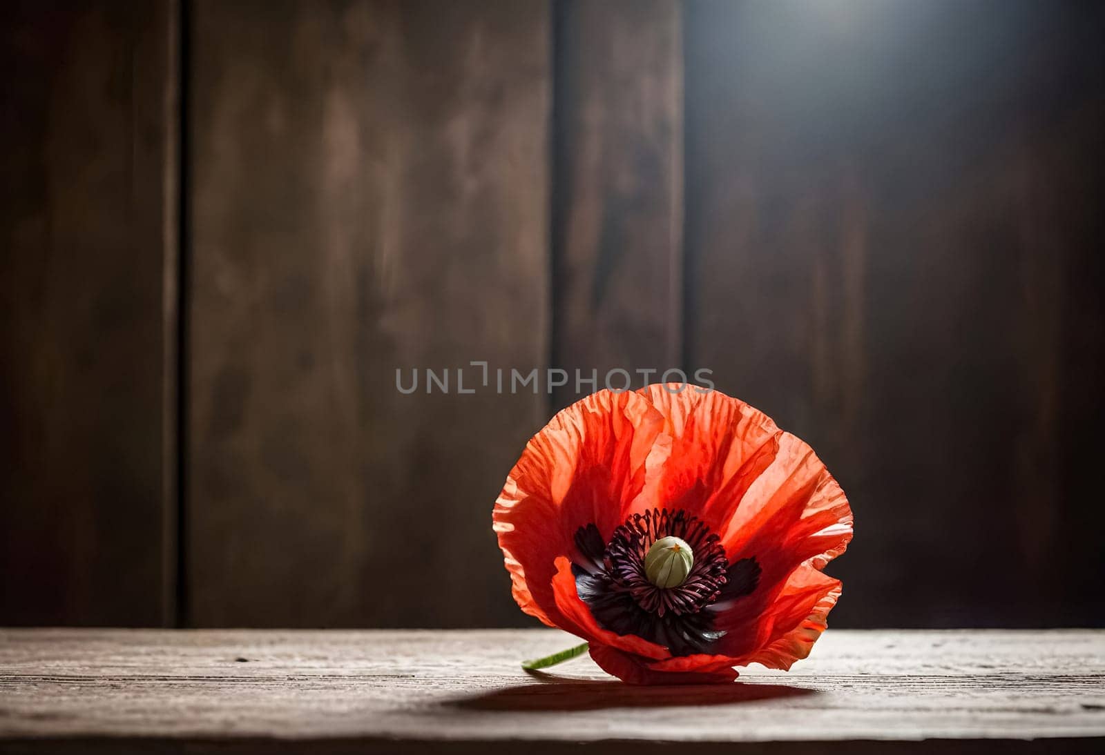 AI generated of a red poppy is on a wooden table with a dark background and sun shinning on it