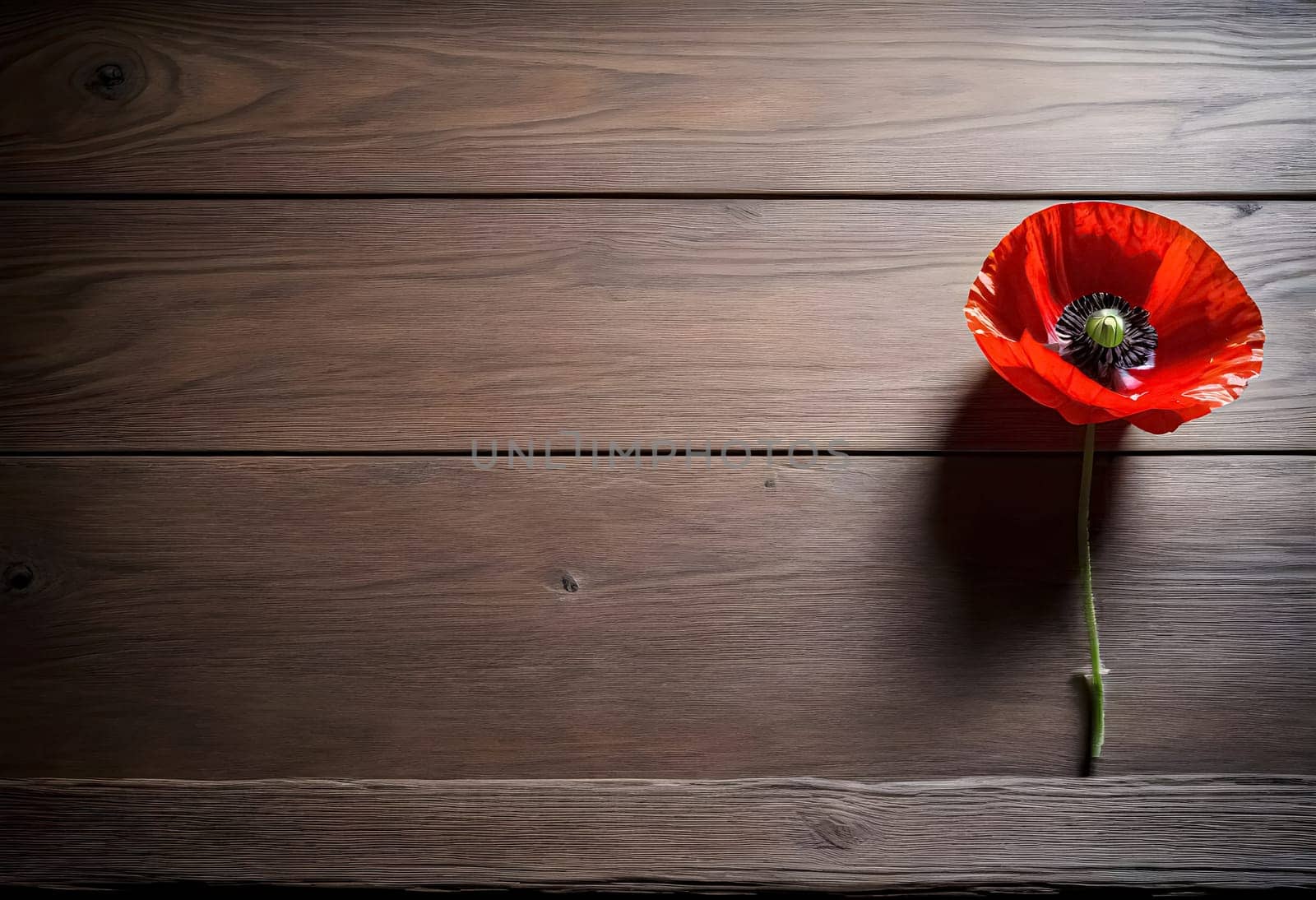 AI generated of a single red poppy sits on a wooden table
