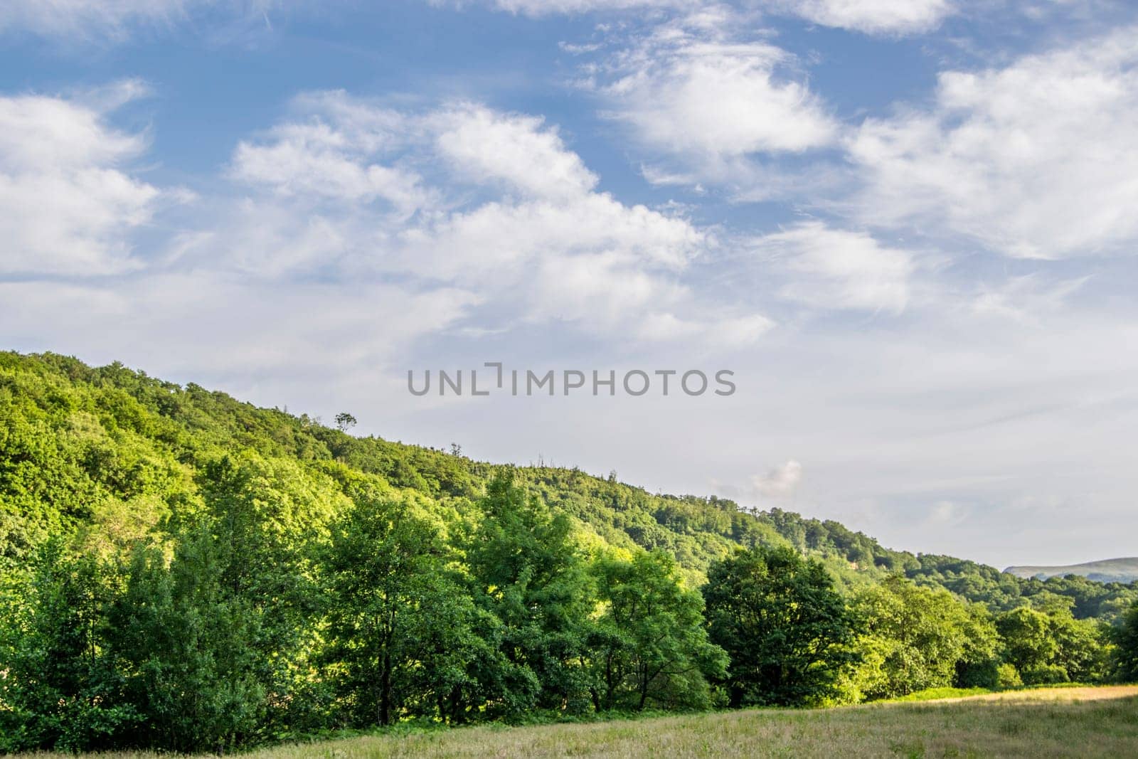 Summer Landscape Hills and Horizon