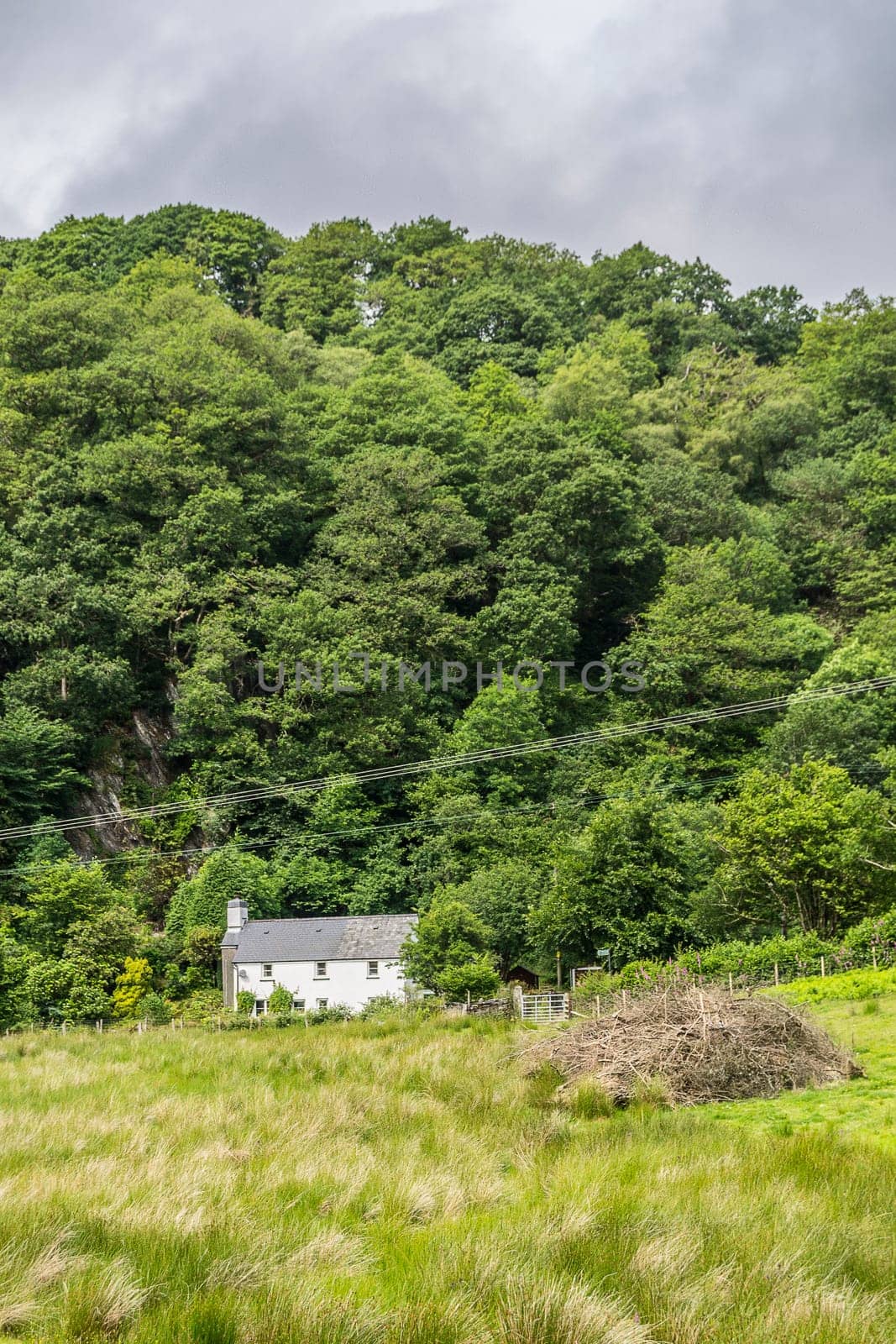 Summer Landscape Hills and Horizon