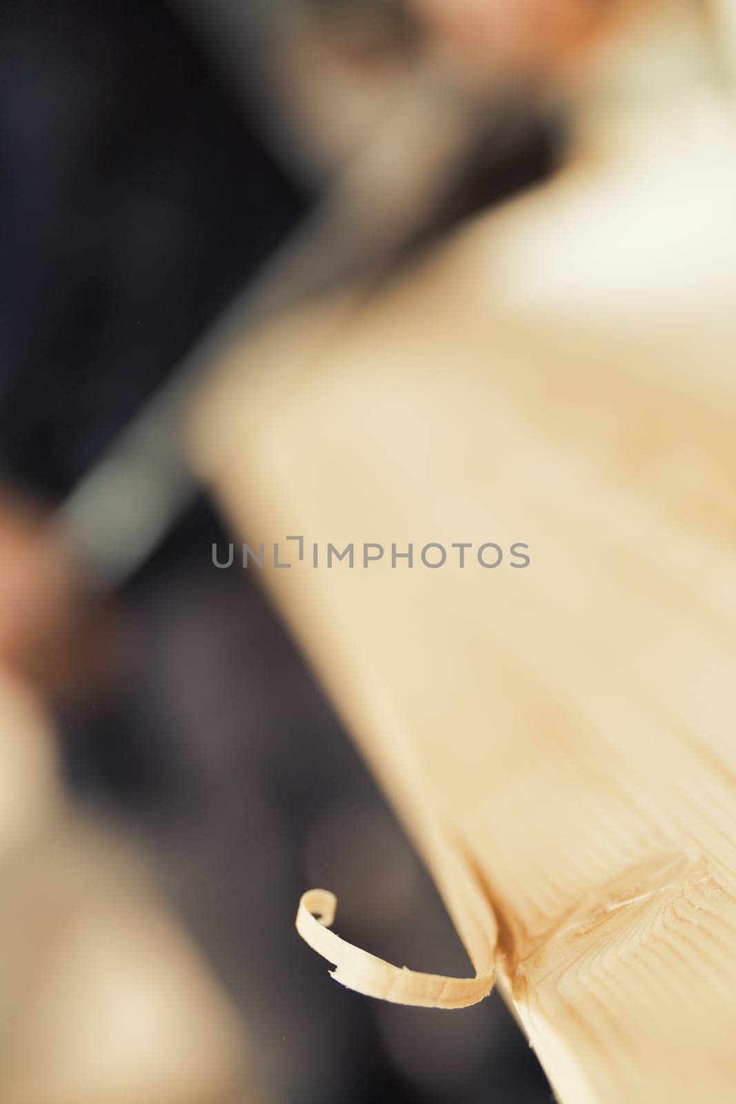 Extreme close-up in focus of a wood curl still attached to the board a carpenter is working on with a drawknife (deliberately out of focus). It will become a shaving soon, but now it's beautiful